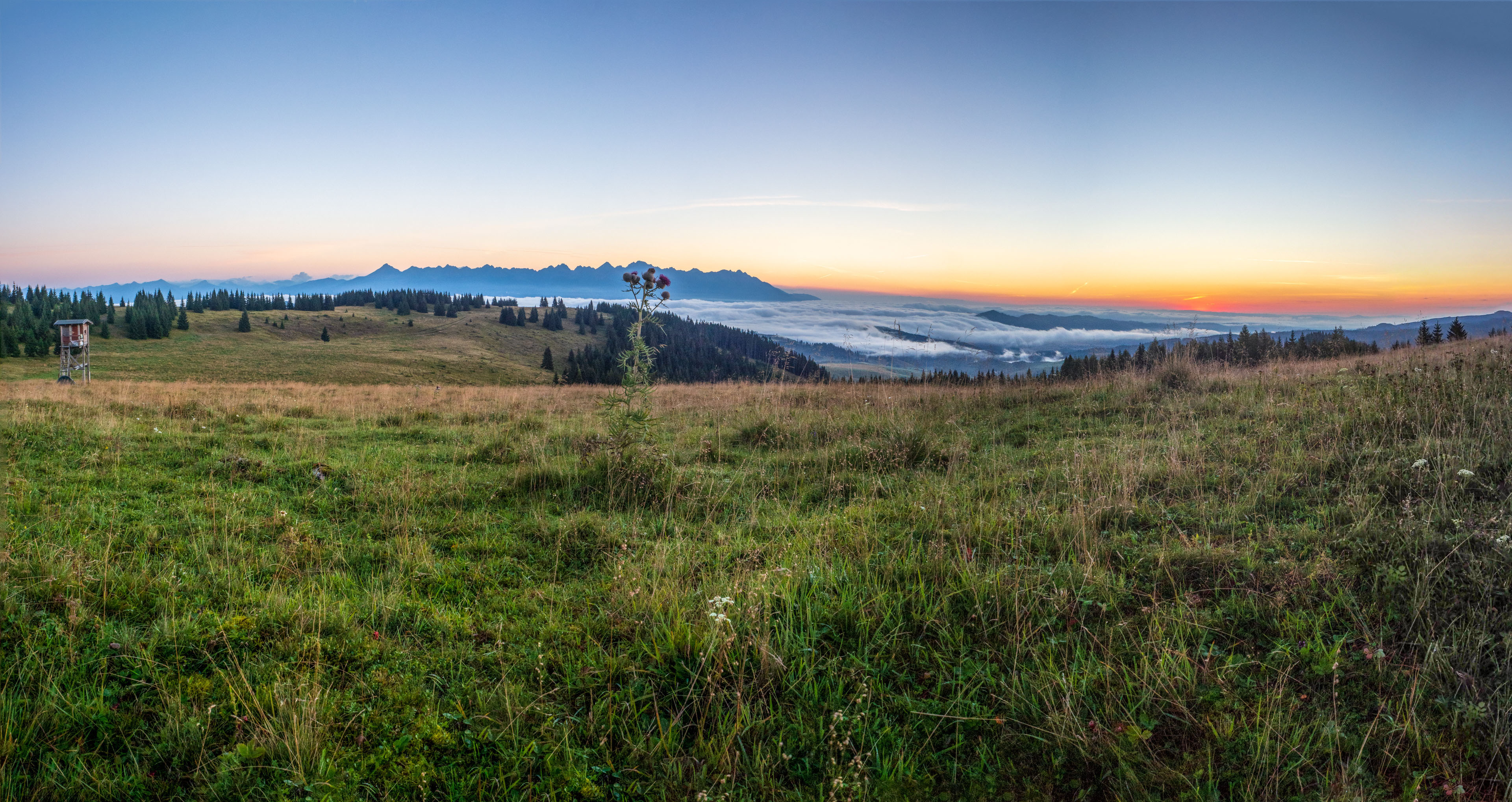 Čučoriedkový deň a Panská hoľa z Pred Soľankou (Nízke Tatry)