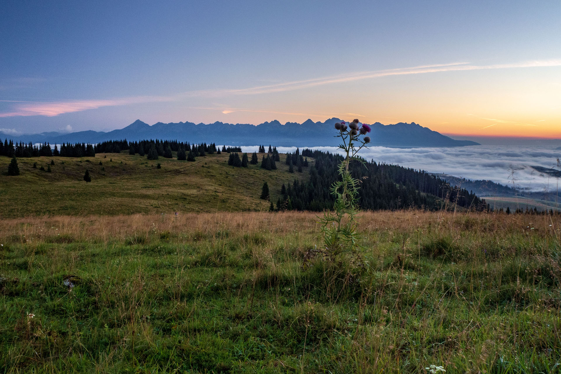 Čučoriedkový deň a Panská hoľa z Pred Soľankou (Nízke Tatry)