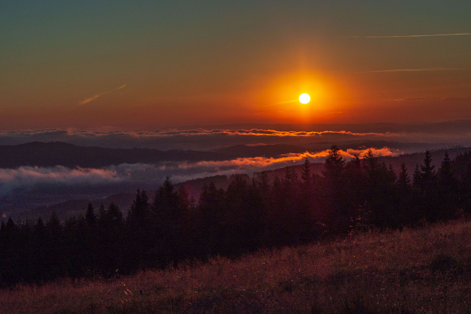 Čučoriedkový deň a Panská hoľa z Pred Soľankou (Nízke Tatry)