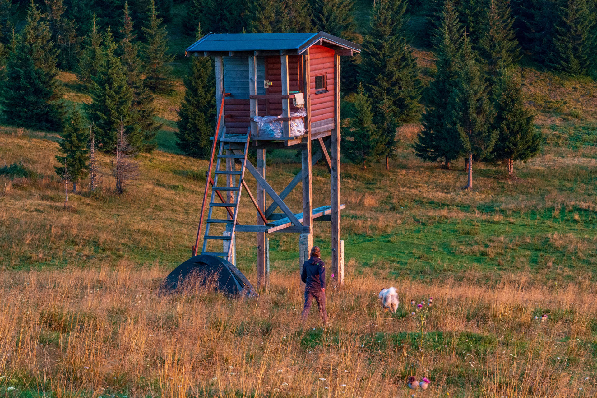 Čučoriedkový deň a Panská hoľa z Pred Soľankou (Nízke Tatry)