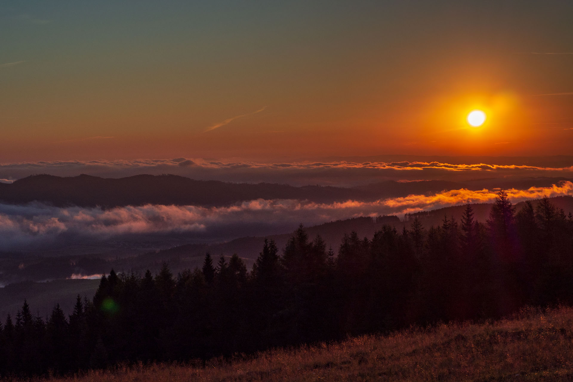 Čučoriedkový deň a Panská hoľa z Pred Soľankou (Nízke Tatry)