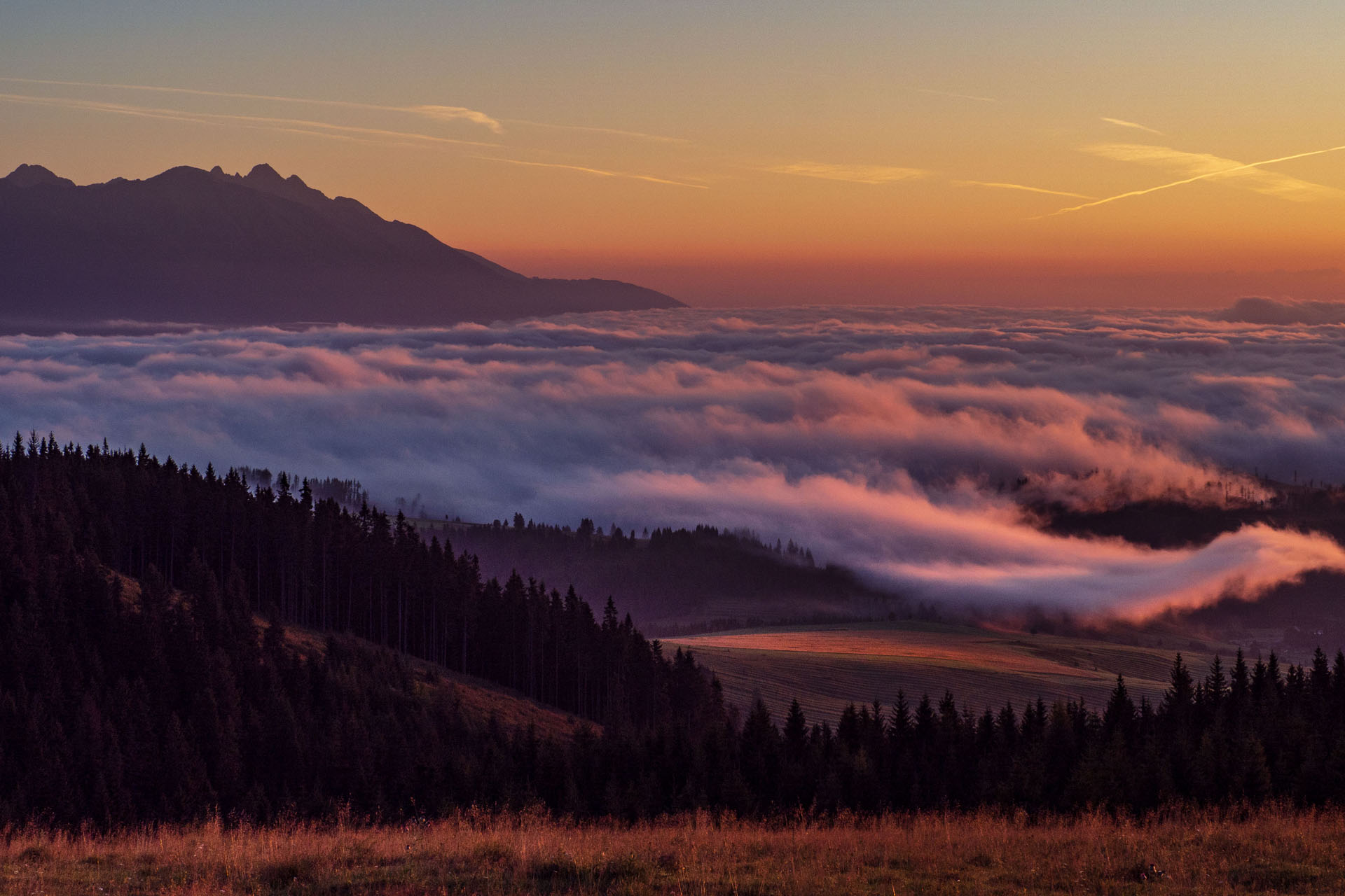 Čučoriedkový deň a Panská hoľa z Pred Soľankou (Nízke Tatry)