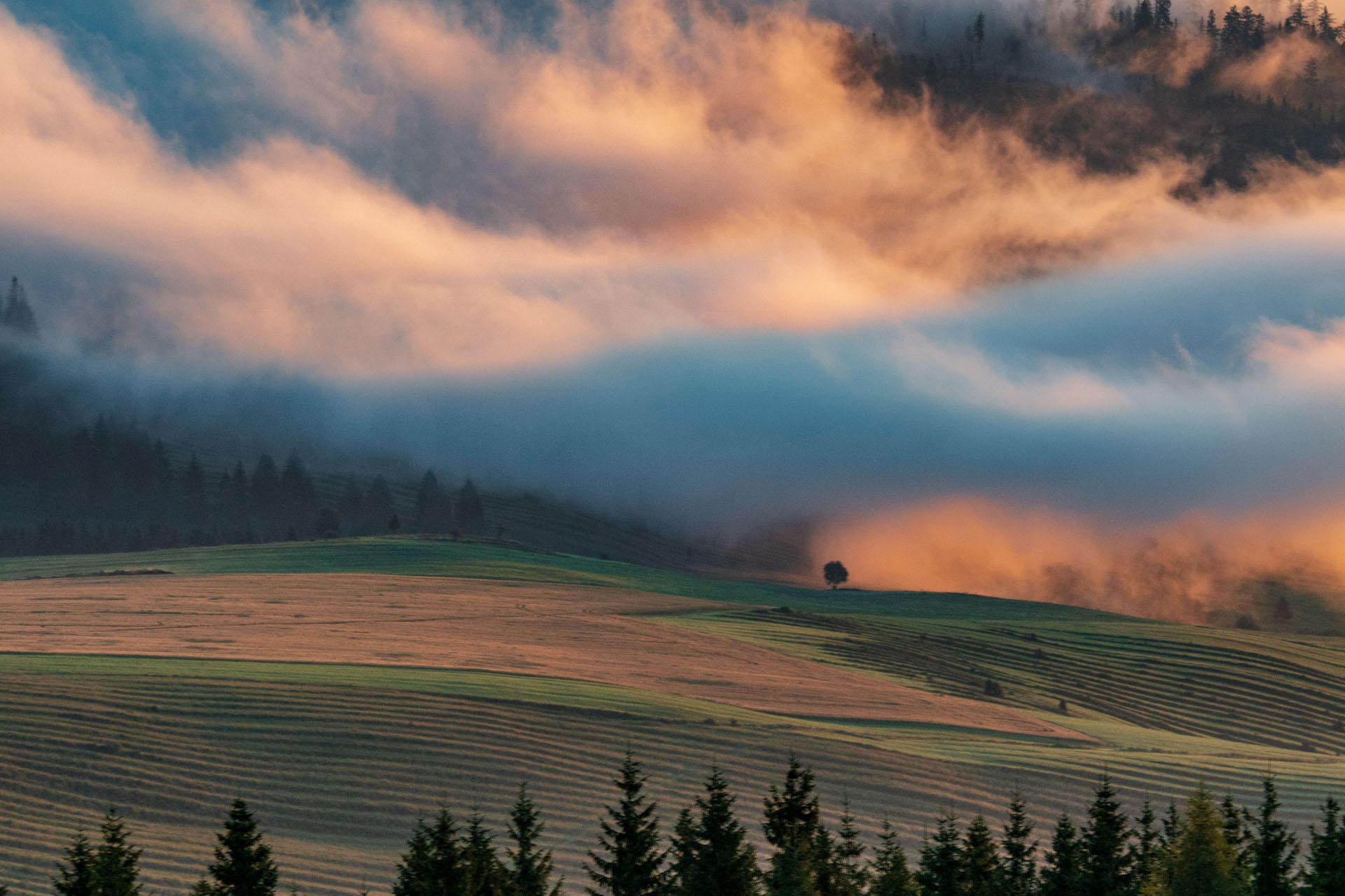 Čučoriedkový deň a Panská hoľa z Pred Soľankou (Nízke Tatry)