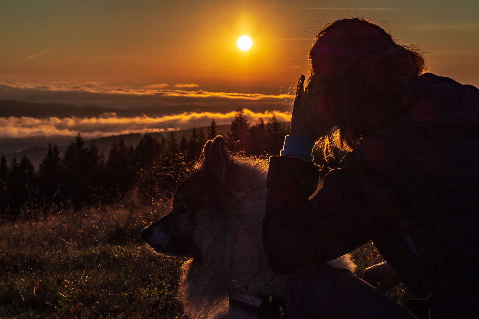 Čučoriedkový deň a Panská hoľa z Pred Soľankou (Nízke Tatry)