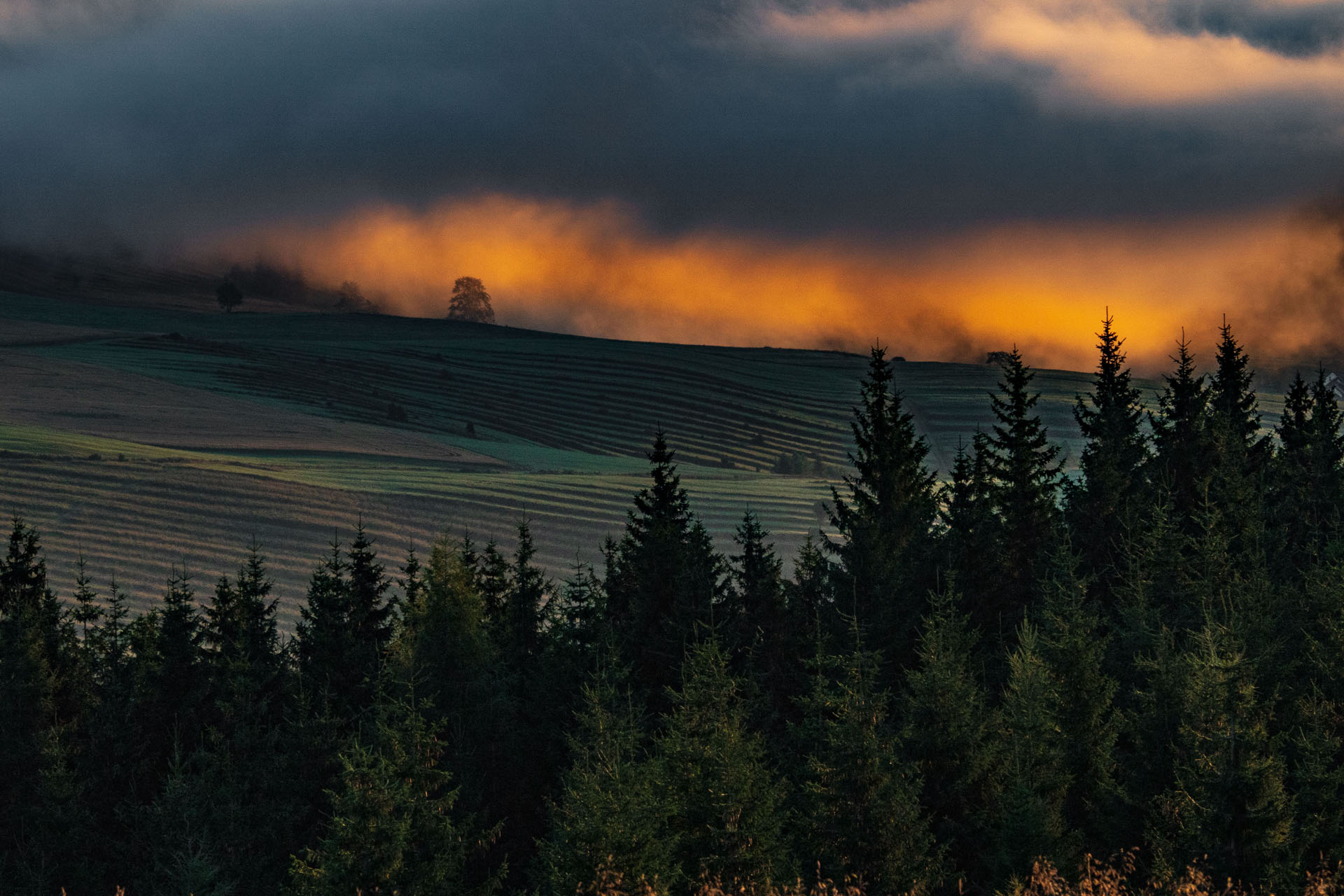 Čučoriedkový deň a Panská hoľa z Pred Soľankou (Nízke Tatry)