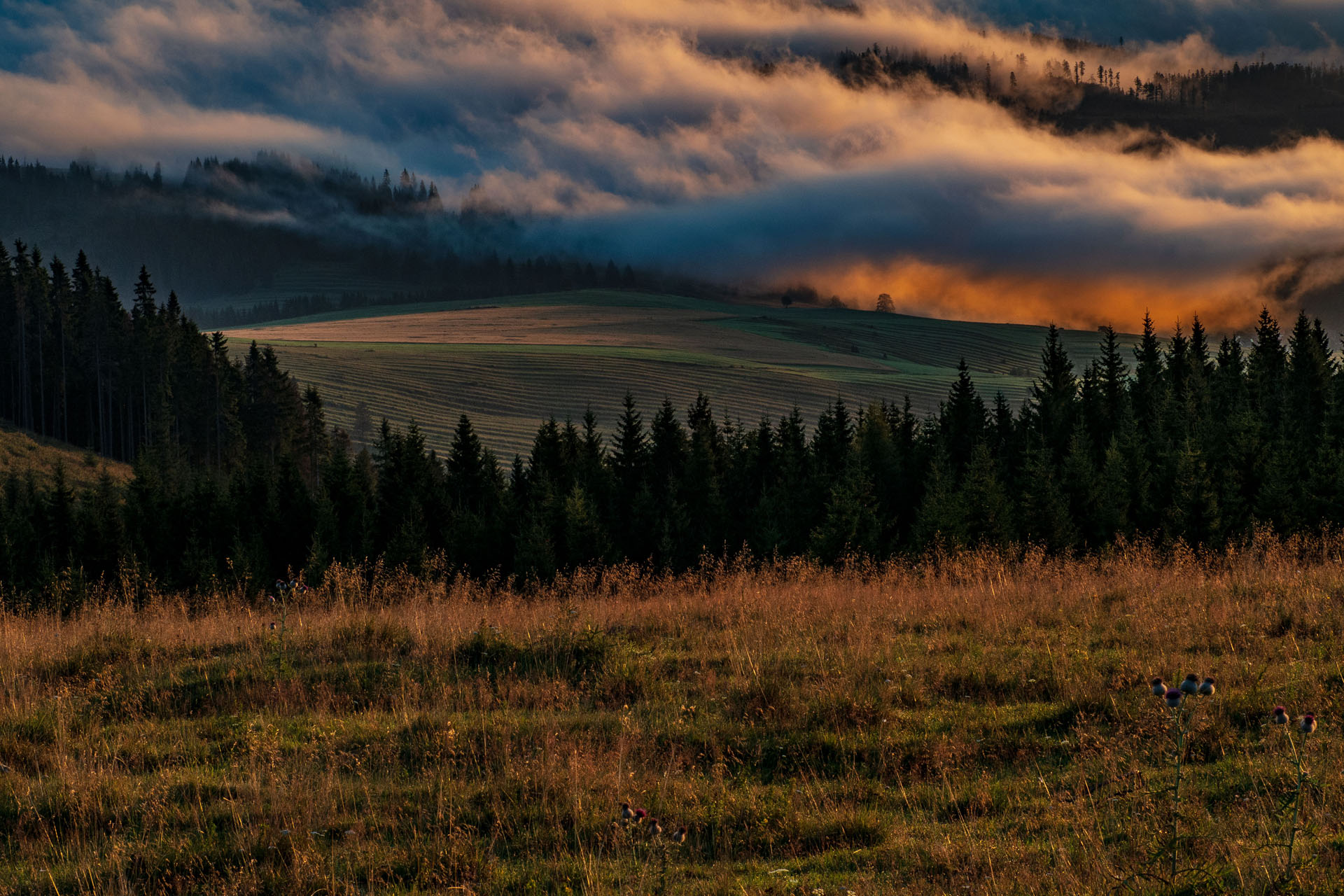 Čučoriedkový deň a Panská hoľa z Pred Soľankou (Nízke Tatry)