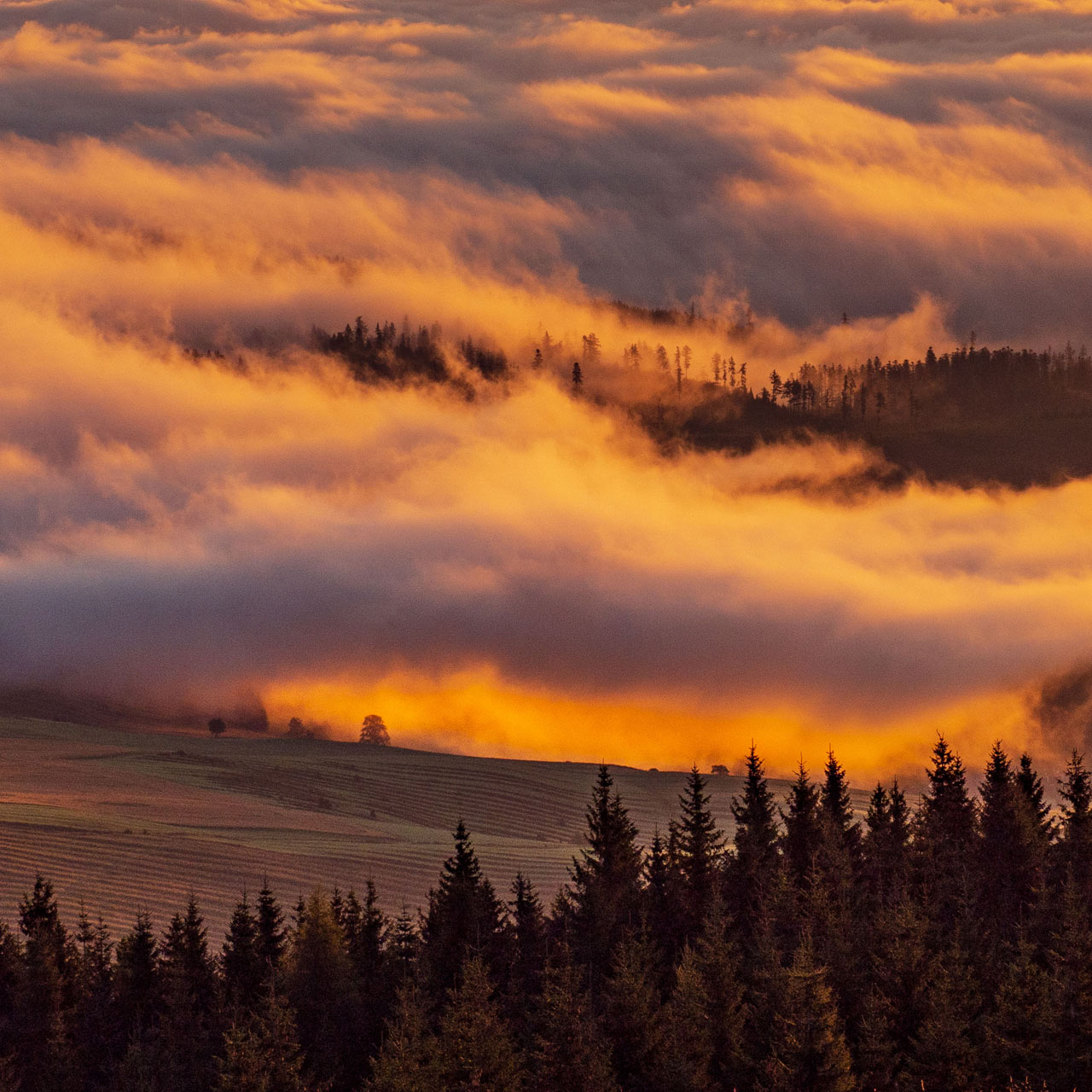 Čučoriedkový deň a Panská hoľa z Pred Soľankou (Nízke Tatry)