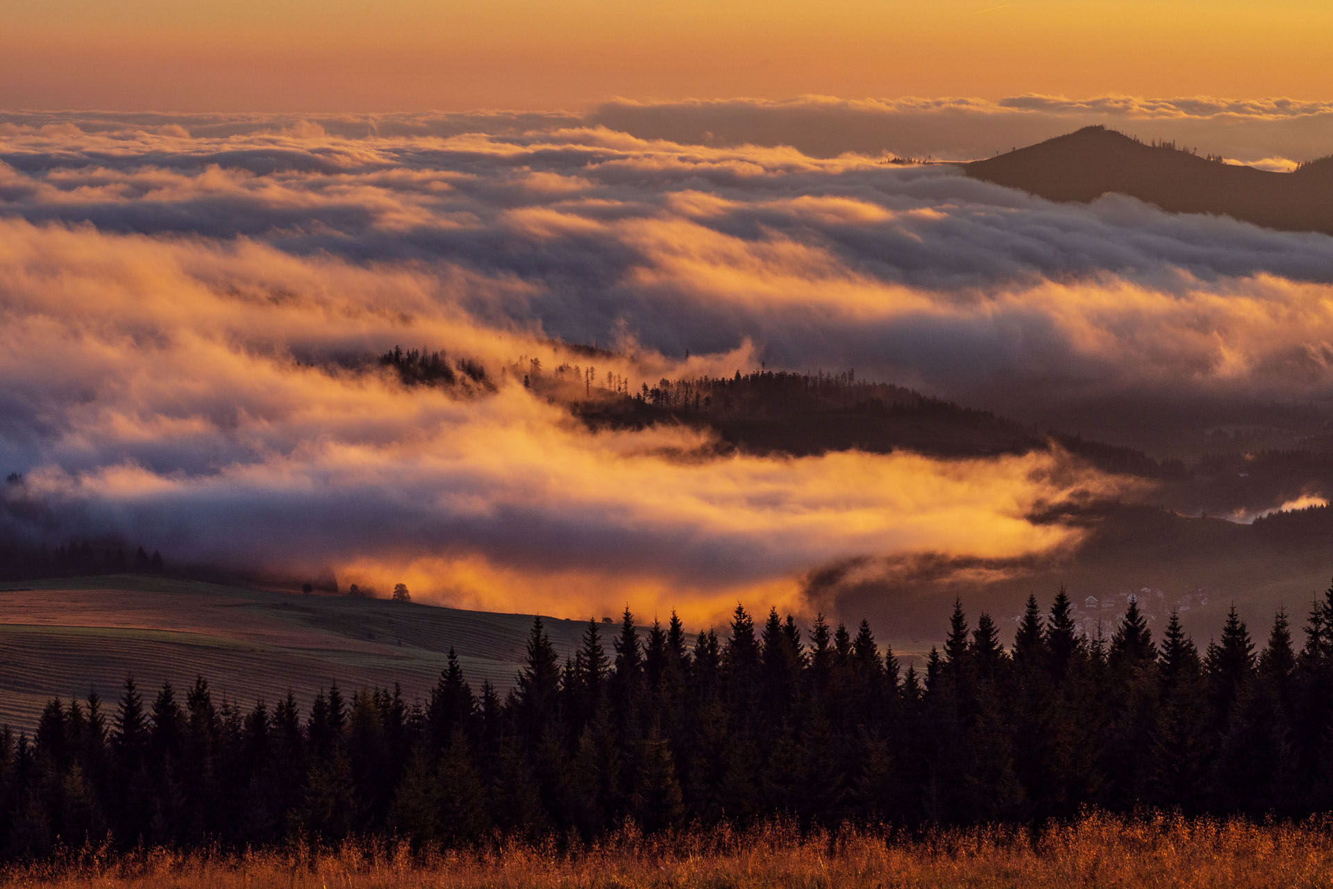 Čučoriedkový deň a Panská hoľa z Pred Soľankou (Nízke Tatry)