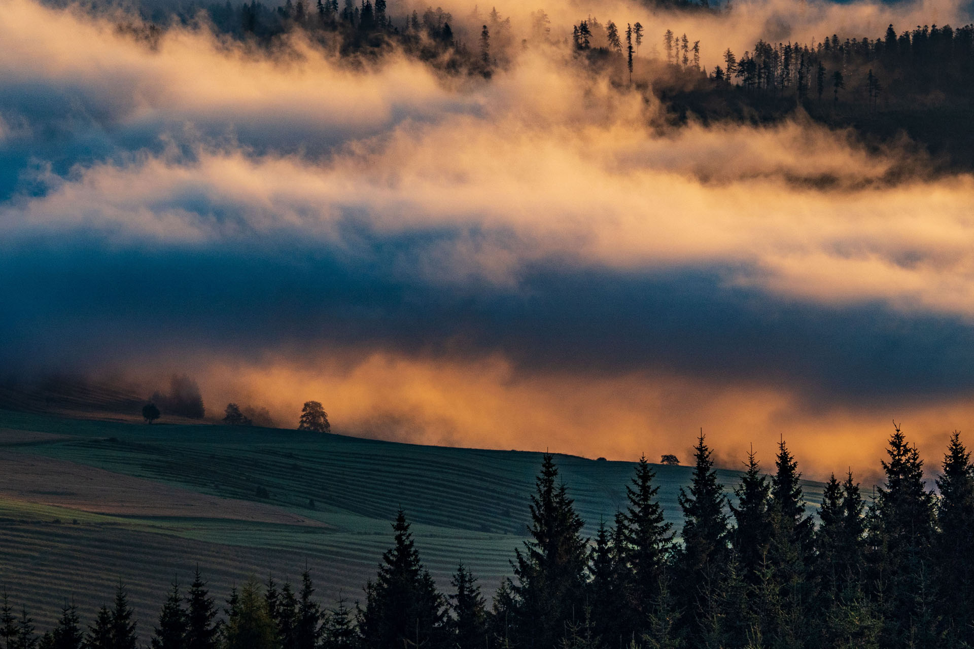 Čučoriedkový deň a Panská hoľa z Pred Soľankou (Nízke Tatry)