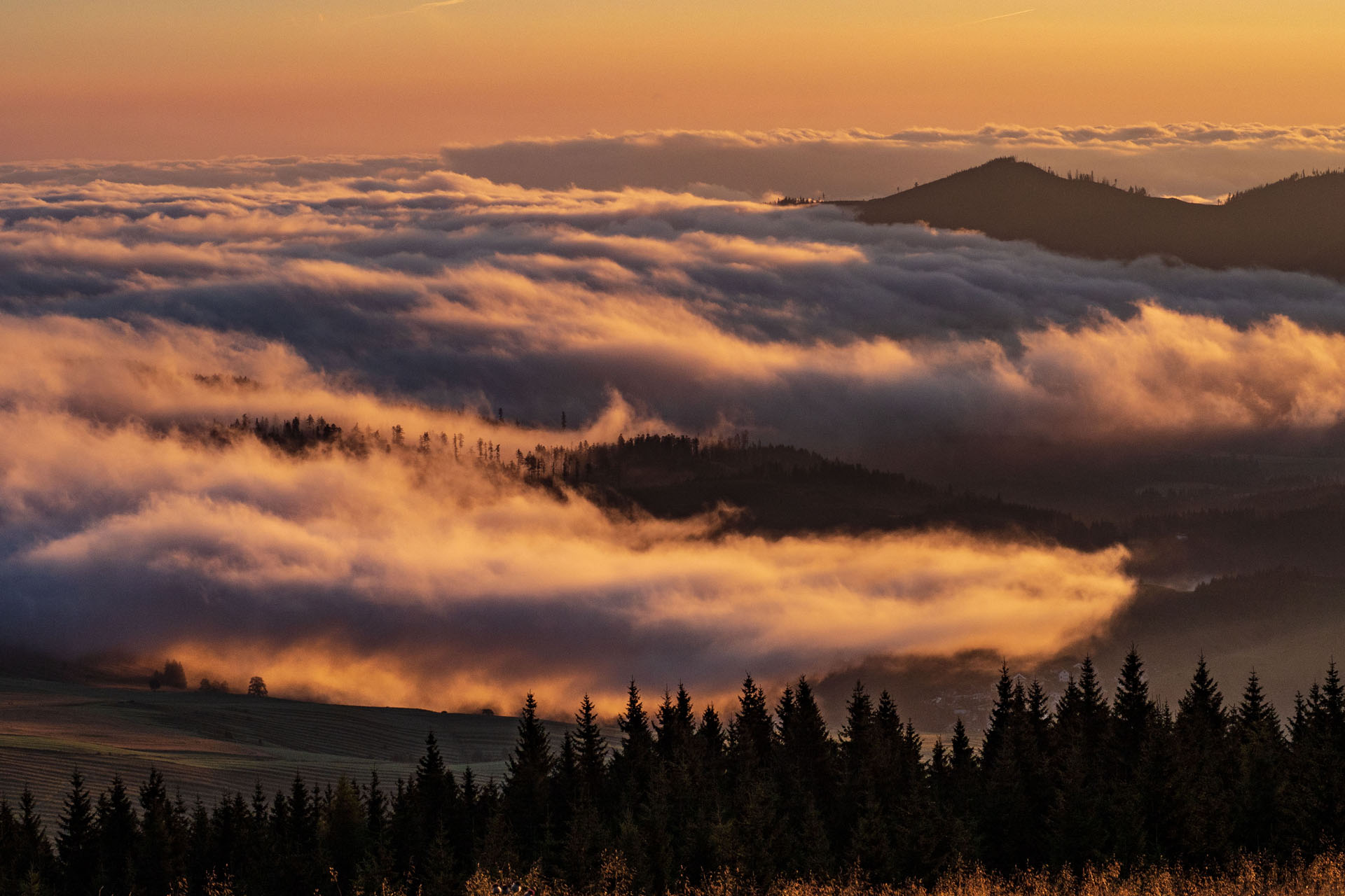 Čučoriedkový deň a Panská hoľa z Pred Soľankou (Nízke Tatry)