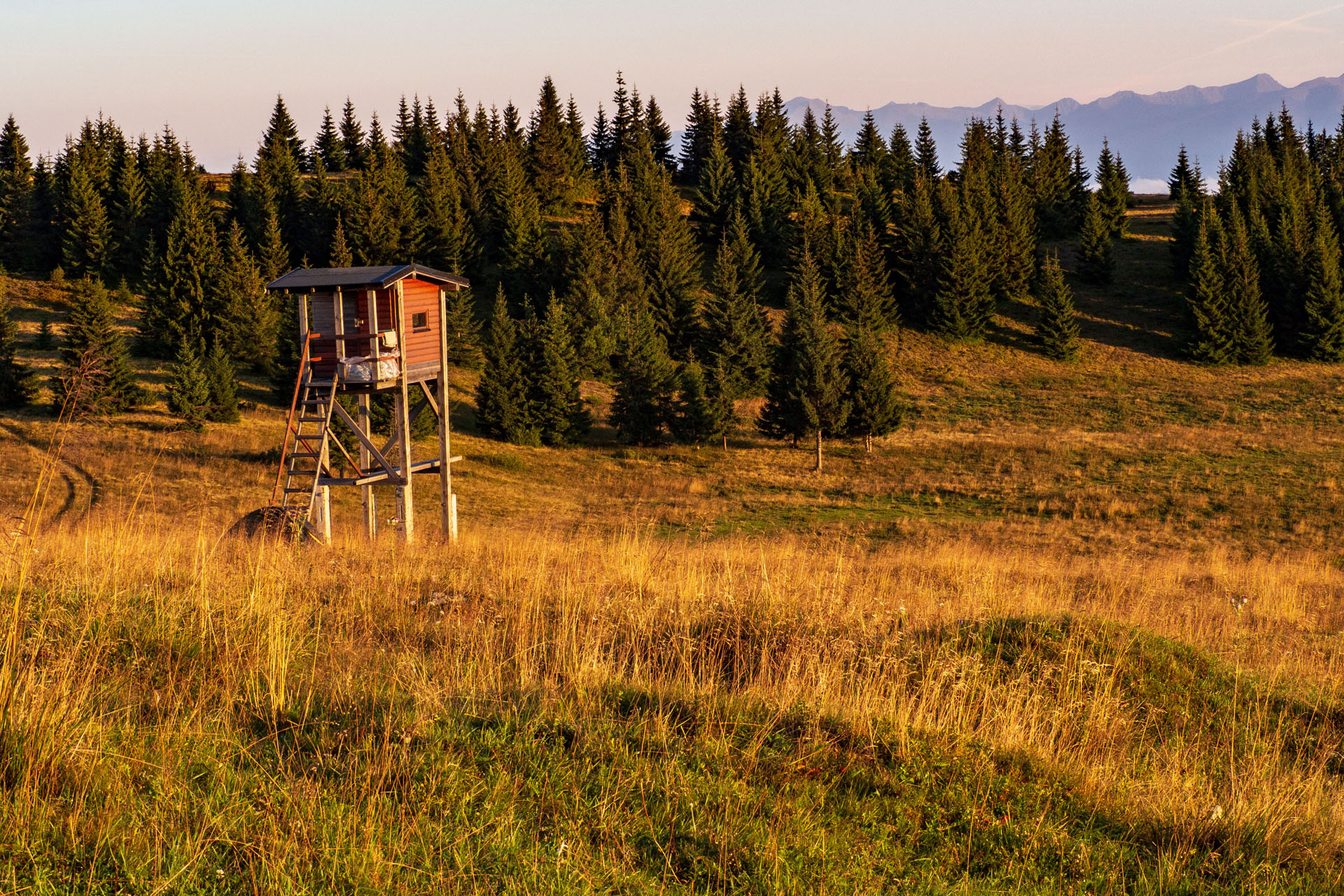 Čučoriedkový deň a Panská hoľa z Pred Soľankou (Nízke Tatry)