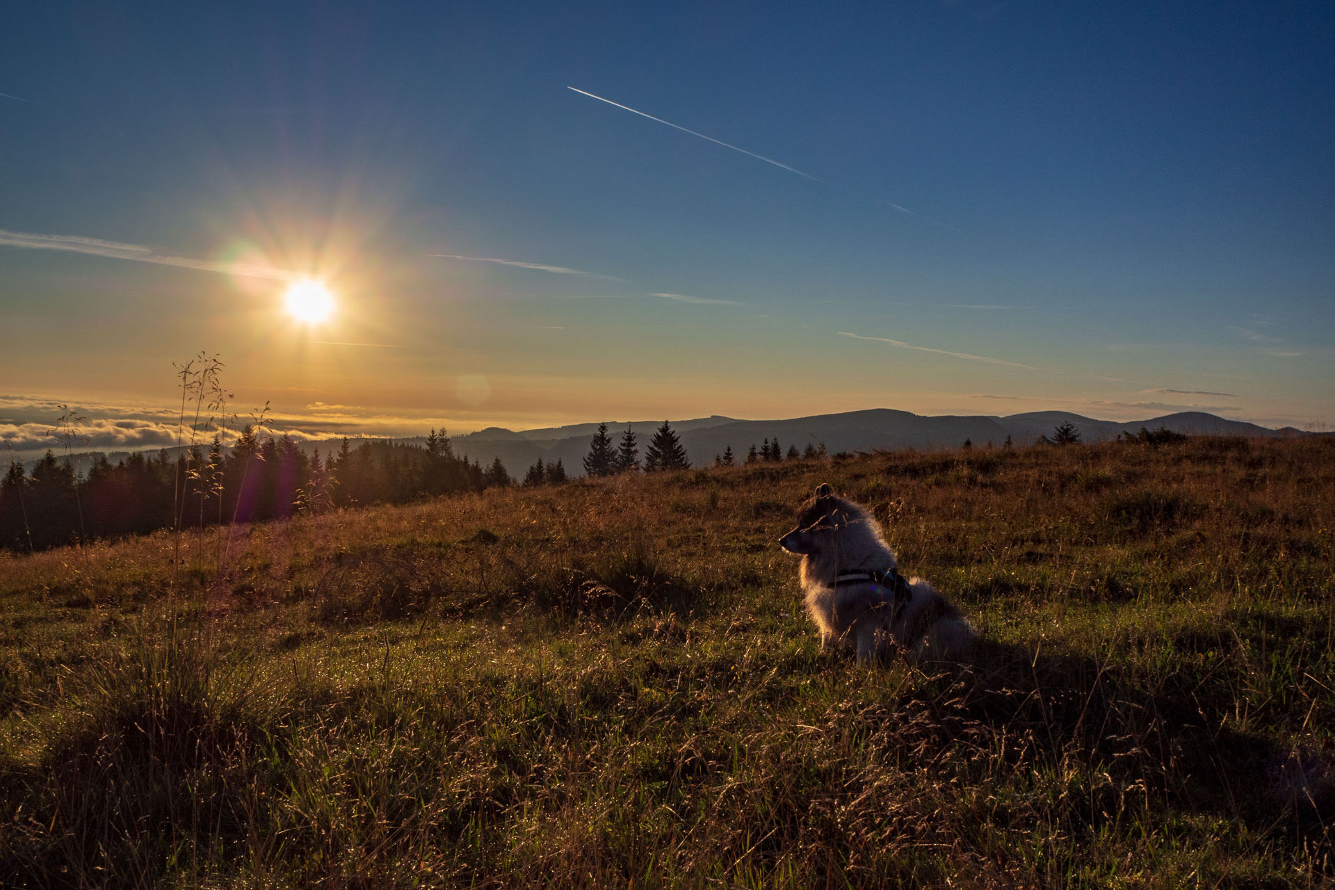 Čučoriedkový deň a Panská hoľa z Pred Soľankou (Nízke Tatry)