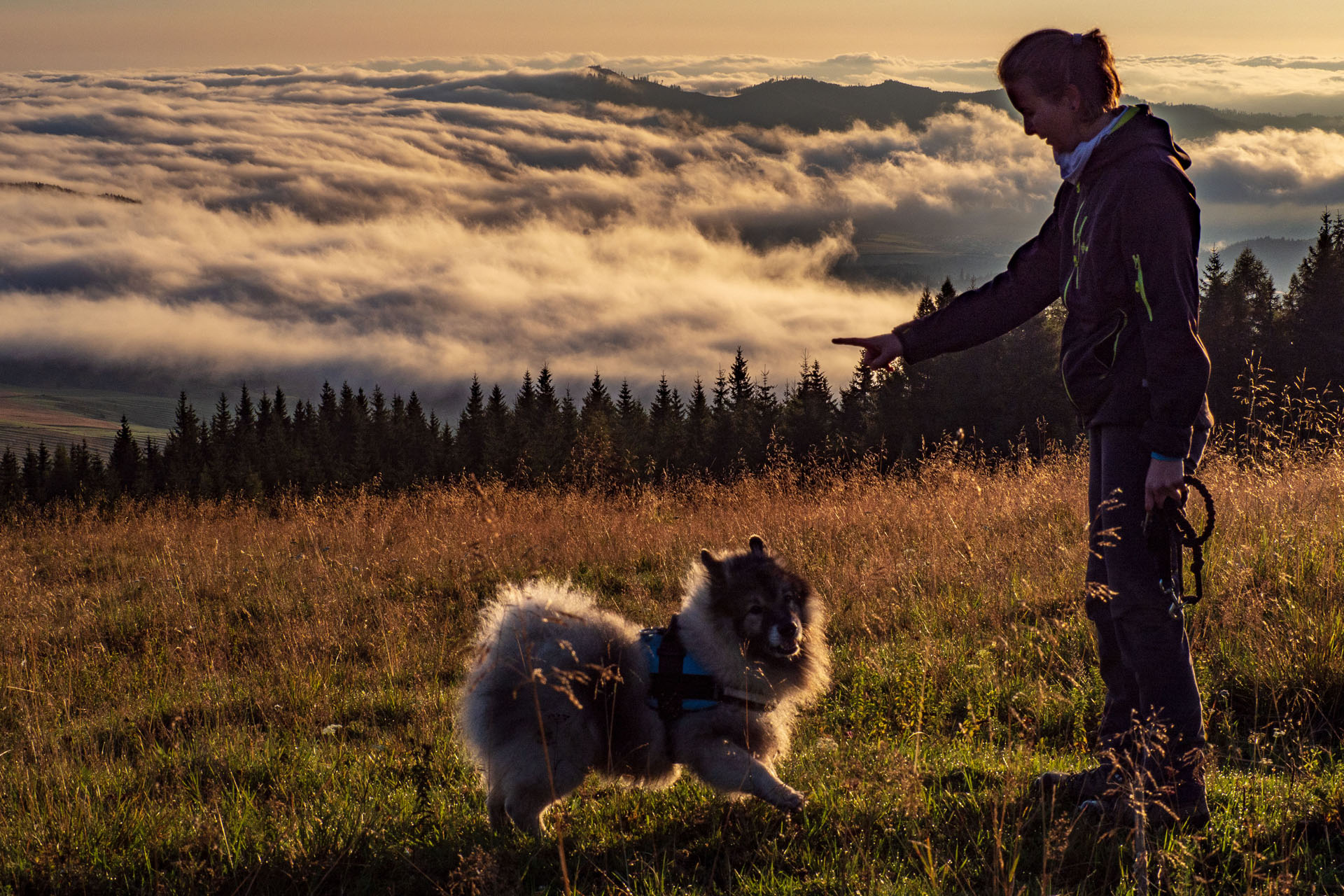 Čučoriedkový deň a Panská hoľa z Pred Soľankou (Nízke Tatry)