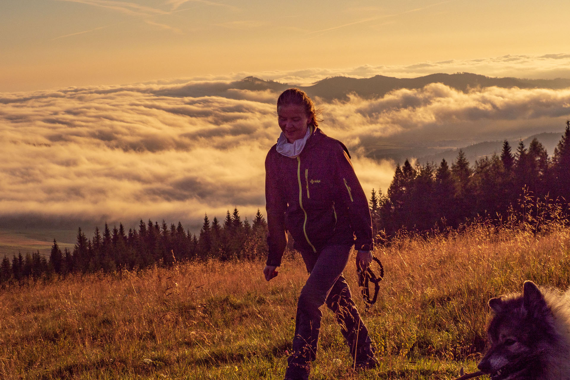 Čučoriedkový deň a Panská hoľa z Pred Soľankou (Nízke Tatry)