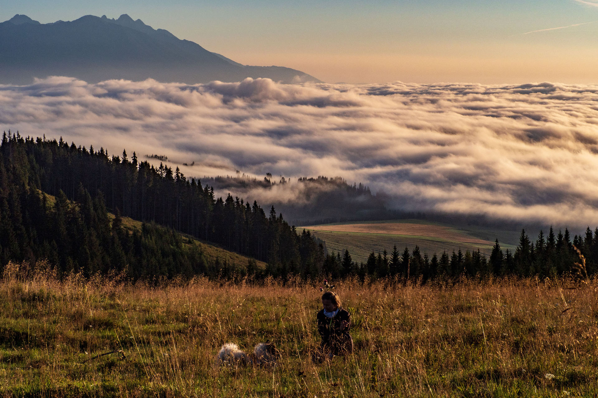 Čučoriedkový deň a Panská hoľa z Pred Soľankou (Nízke Tatry)