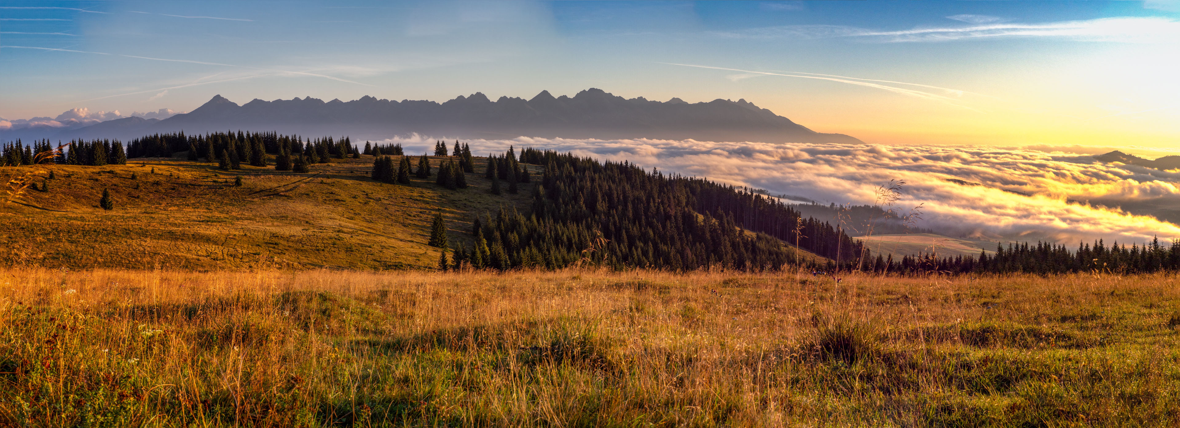 Čučoriedkový deň a Panská hoľa z Pred Soľankou (Nízke Tatry)