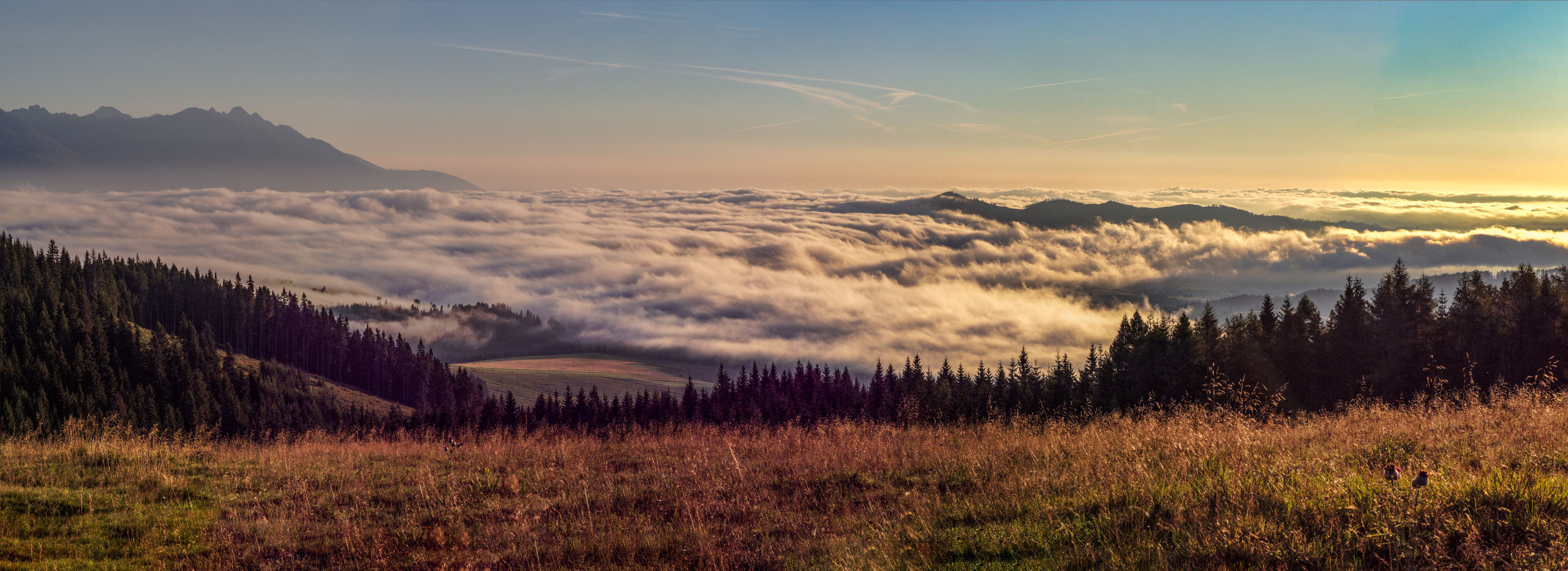 Čučoriedkový deň a Panská hoľa z Pred Soľankou (Nízke Tatry)