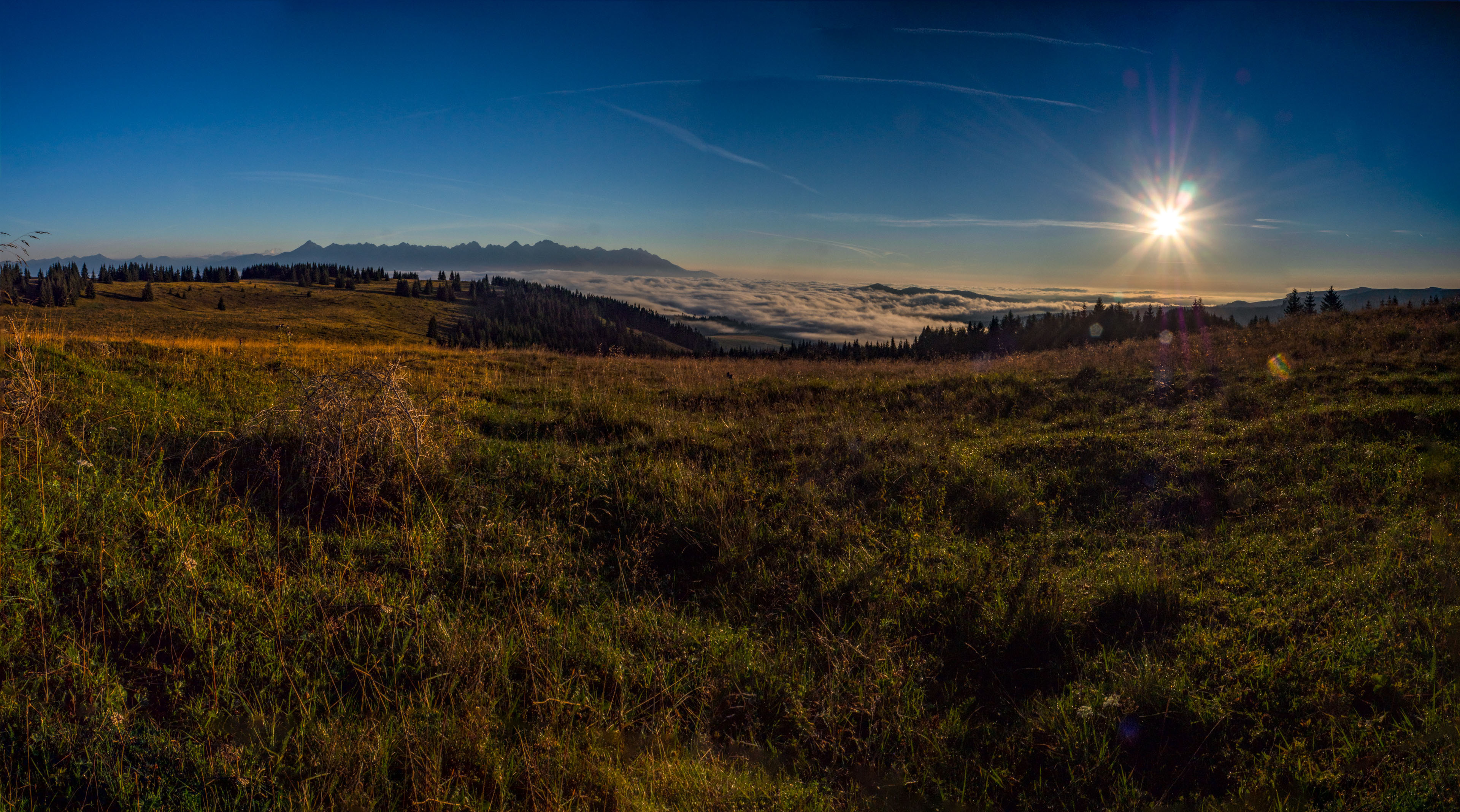 Čučoriedkový deň a Panská hoľa z Pred Soľankou (Nízke Tatry)