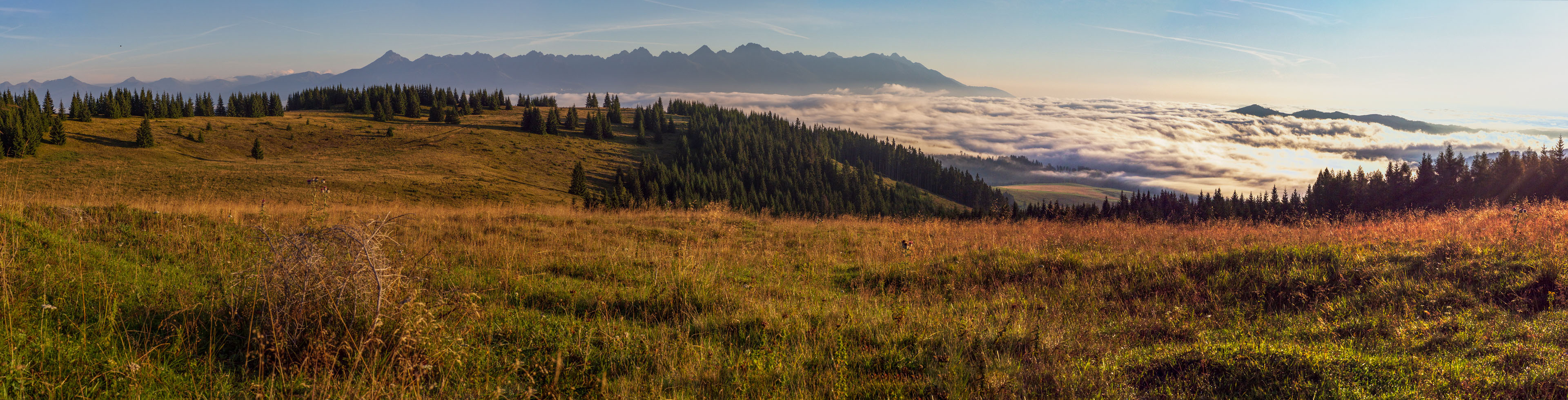 Čučoriedkový deň a Panská hoľa z Pred Soľankou (Nízke Tatry)