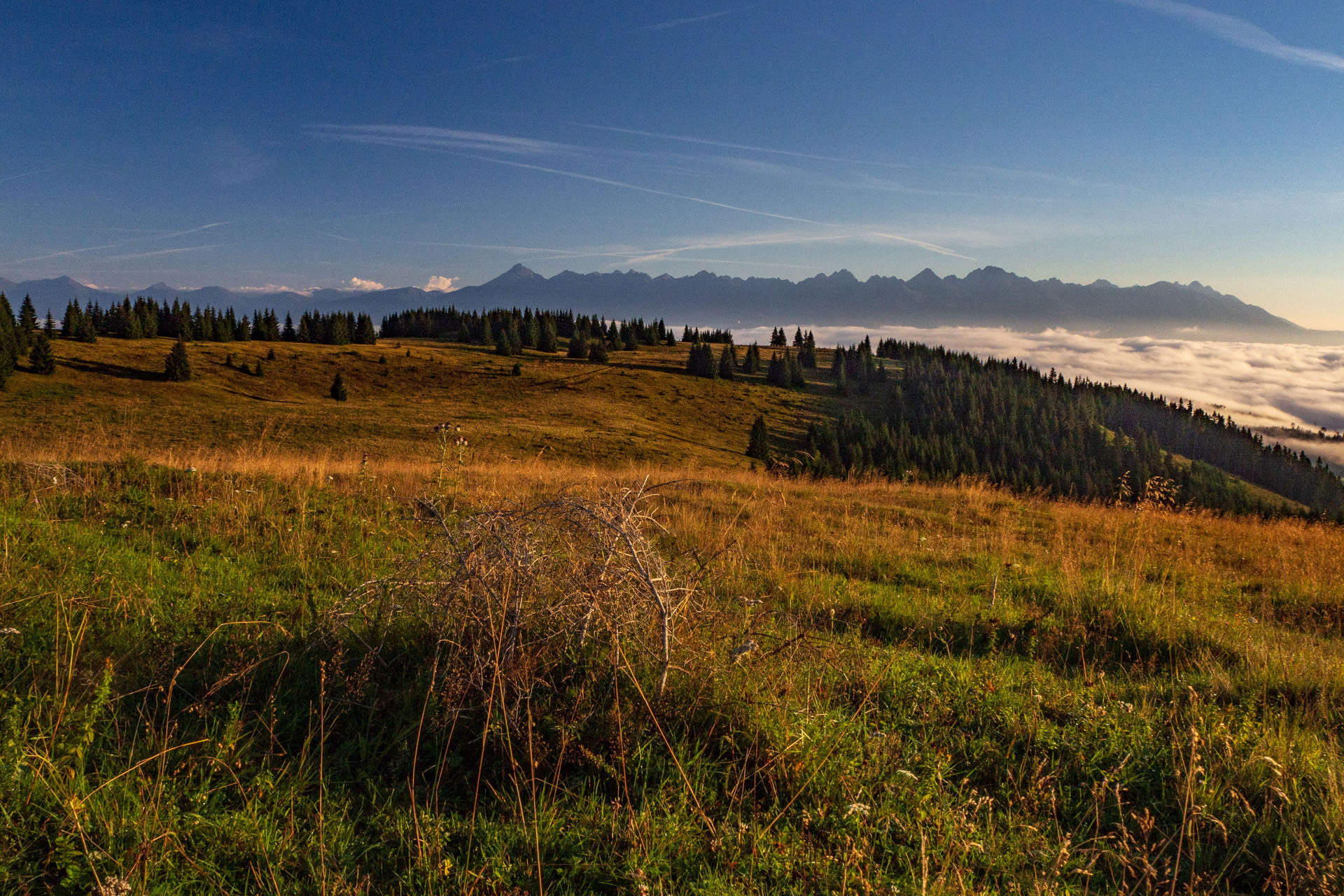 Čučoriedkový deň a Panská hoľa z Pred Soľankou (Nízke Tatry)