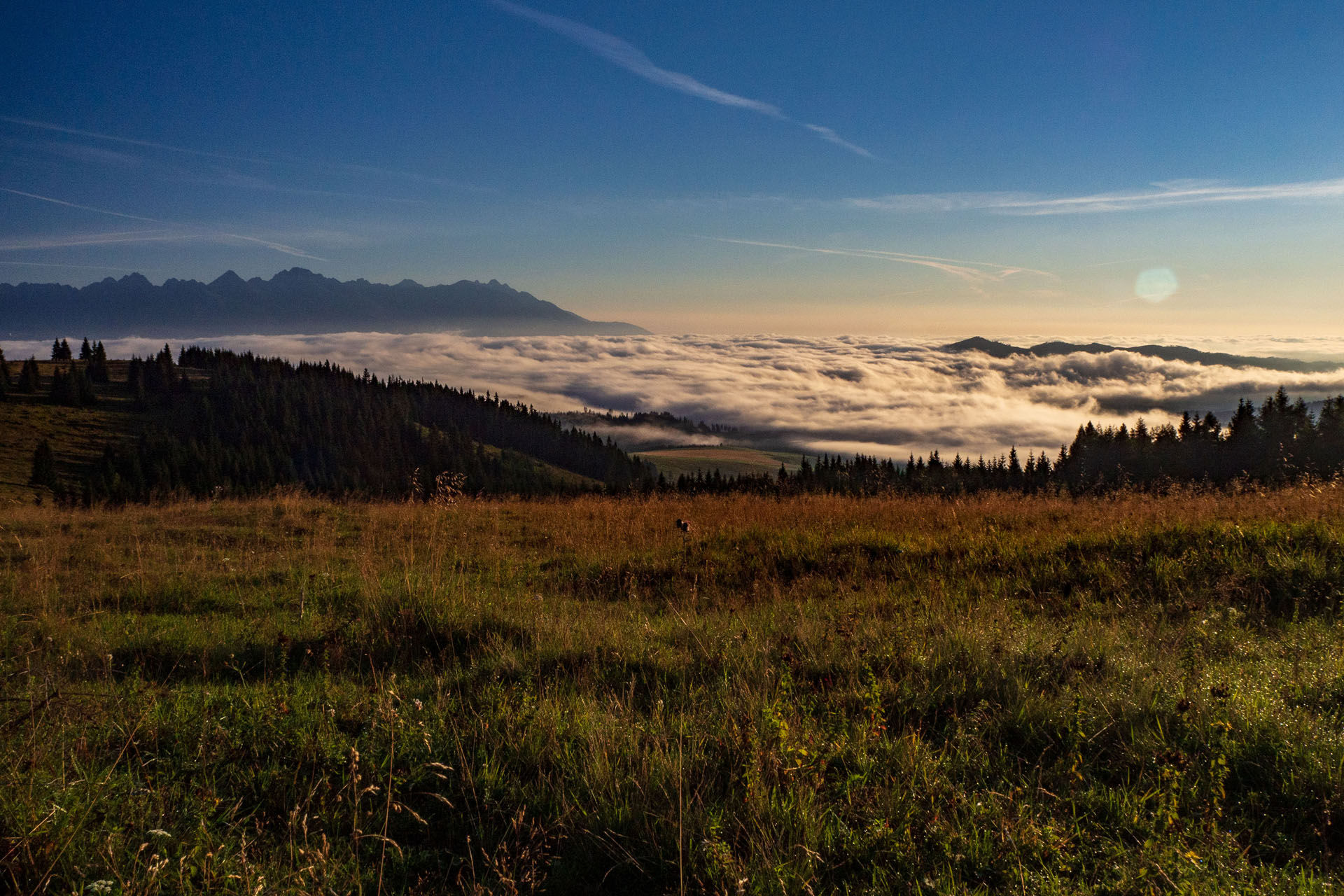 Čučoriedkový deň a Panská hoľa z Pred Soľankou (Nízke Tatry)