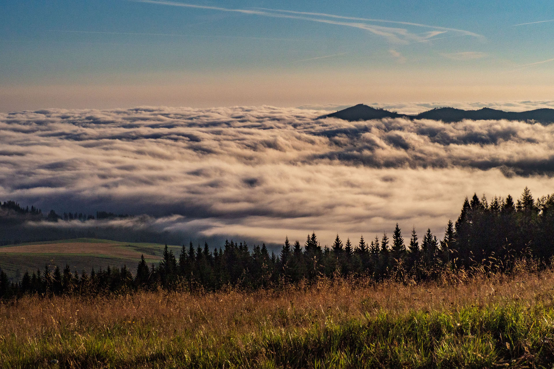 Čučoriedkový deň a Panská hoľa z Pred Soľankou (Nízke Tatry)