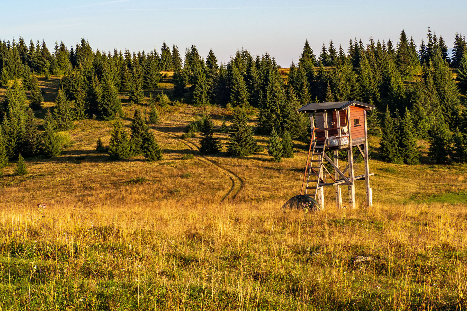 Čučoriedkový deň a Panská hoľa z Pred Soľankou (Nízke Tatry)