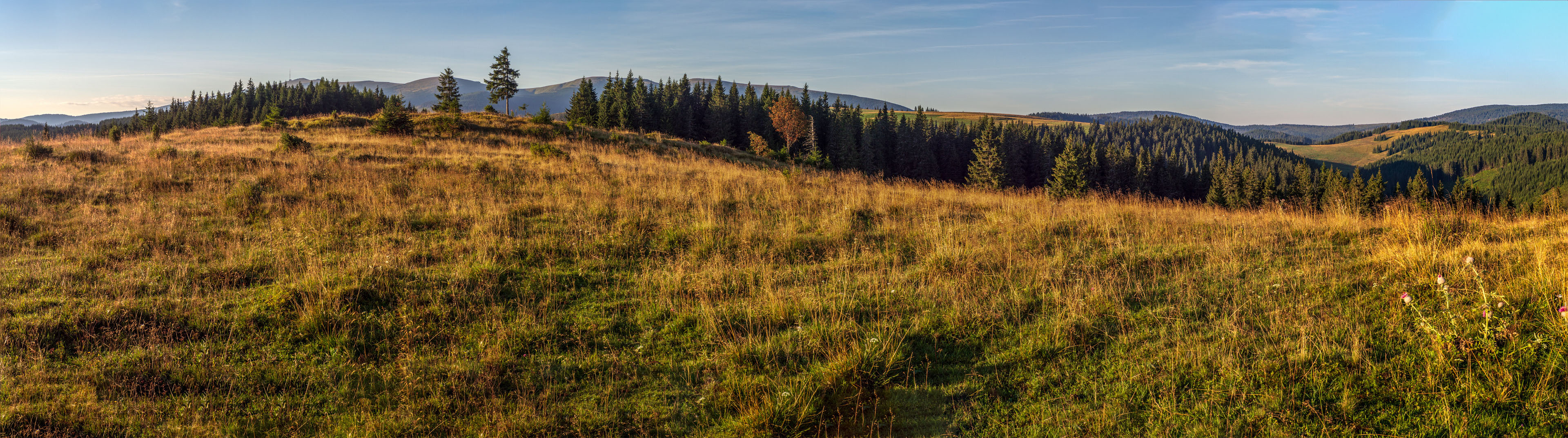 Čučoriedkový deň a Panská hoľa z Pred Soľankou (Nízke Tatry)