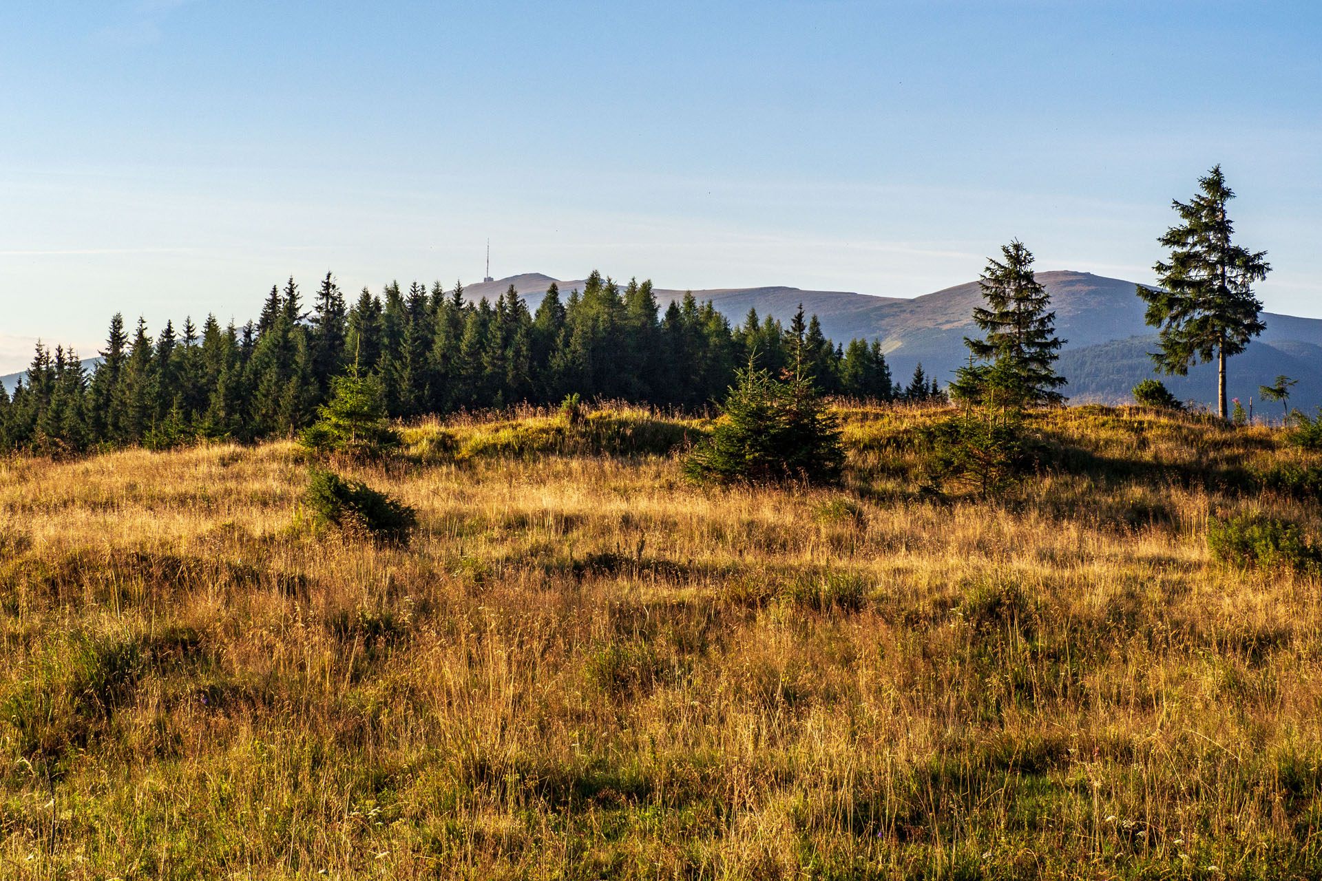 Čučoriedkový deň a Panská hoľa z Pred Soľankou (Nízke Tatry)