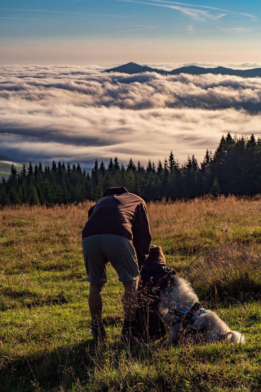 Čučoriedkový deň a Panská hoľa z Pred Soľankou (Nízke Tatry)