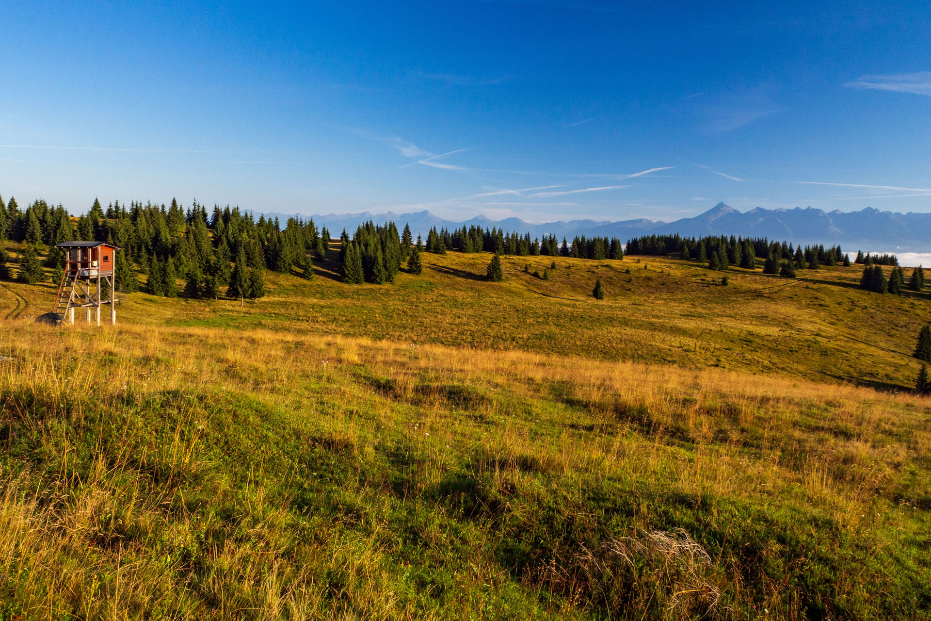 Čučoriedkový deň a Panská hoľa z Pred Soľankou (Nízke Tatry)