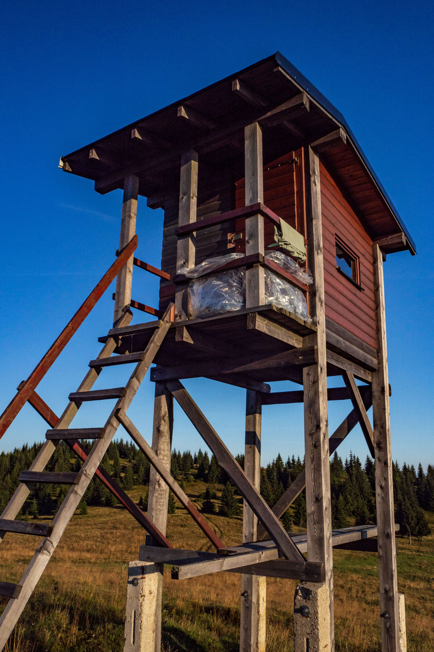 Čučoriedkový deň a Panská hoľa z Pred Soľankou (Nízke Tatry)