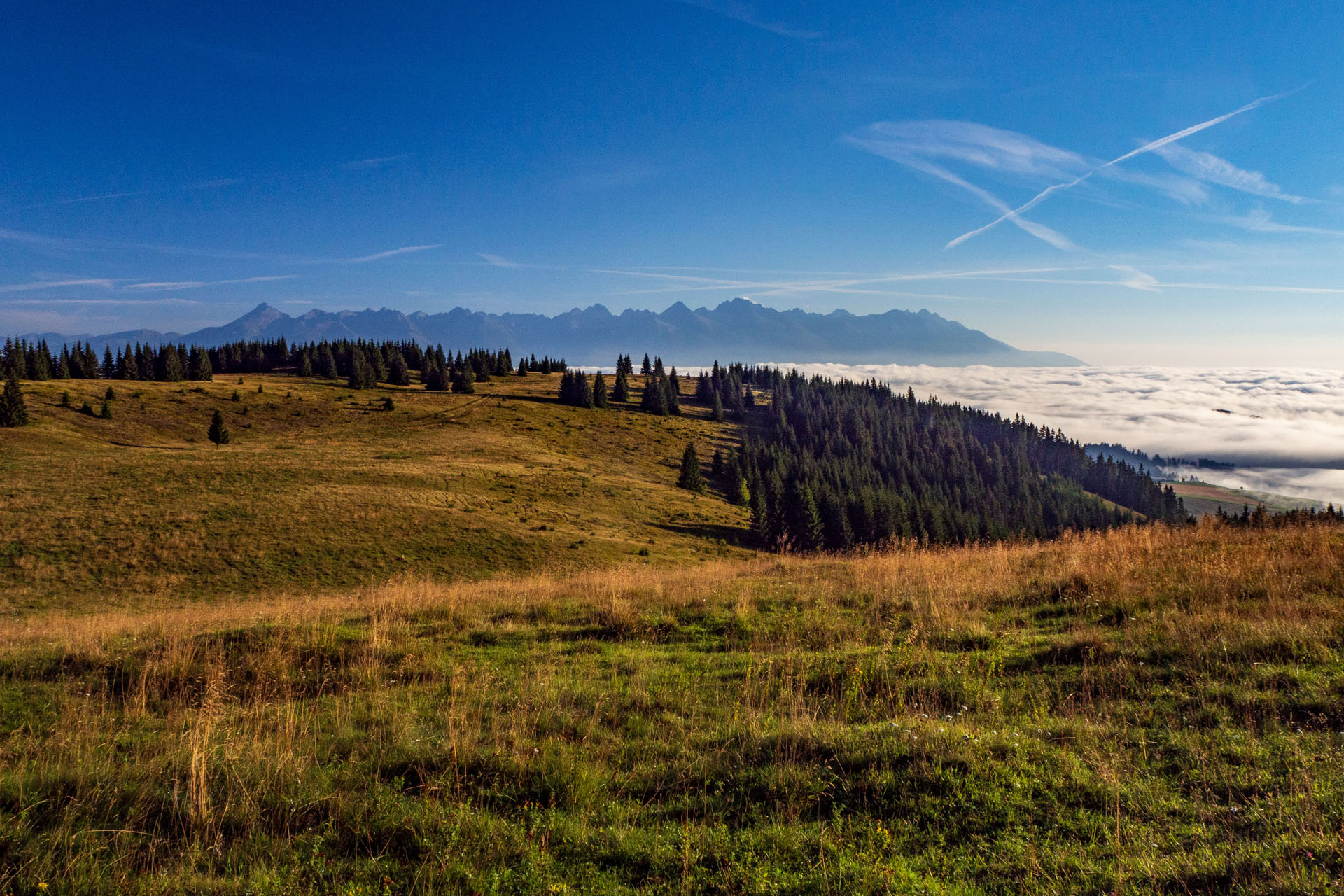 Čučoriedkový deň a Panská hoľa z Pred Soľankou (Nízke Tatry)