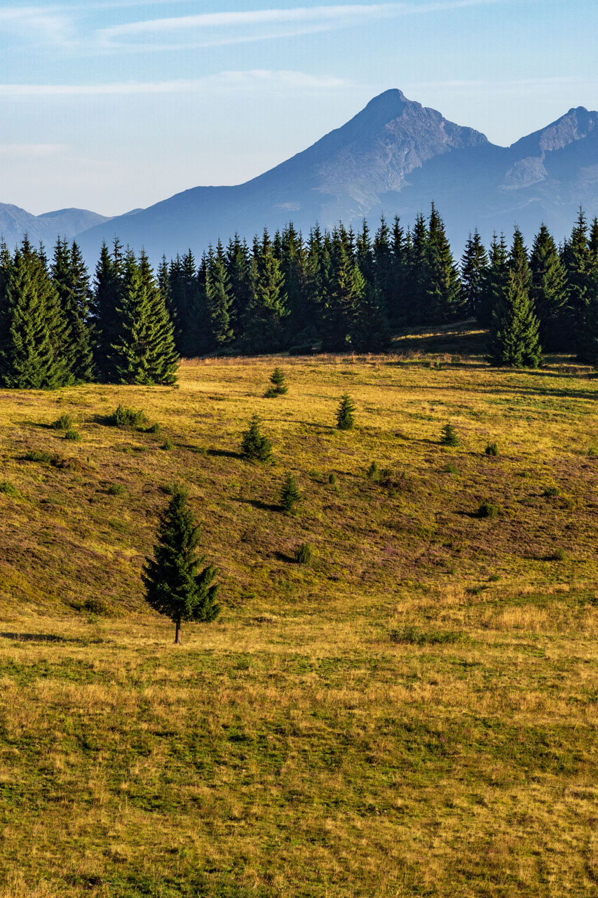 Čučoriedkový deň a Panská hoľa z Pred Soľankou (Nízke Tatry)