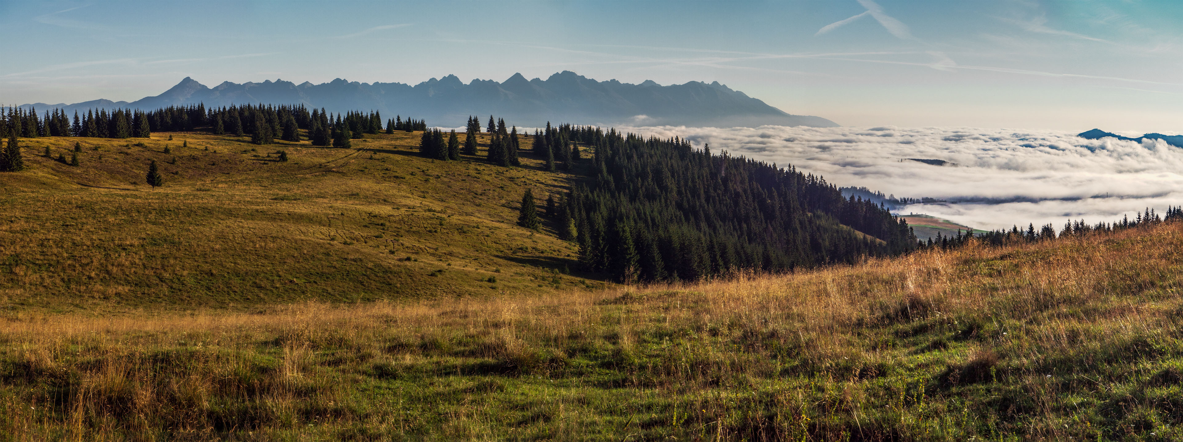 Čučoriedkový deň a Panská hoľa z Pred Soľankou (Nízke Tatry)