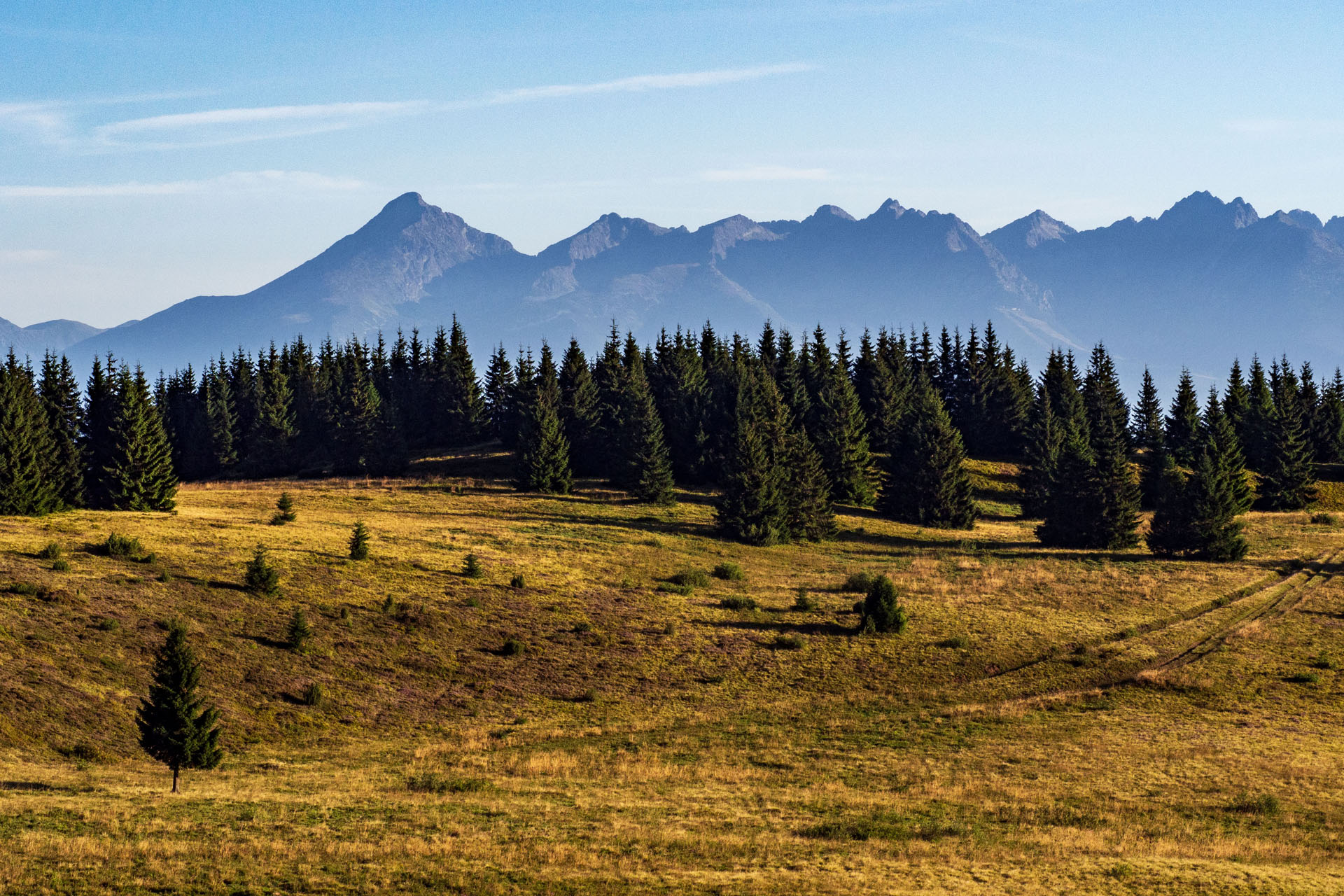 Čučoriedkový deň a Panská hoľa z Pred Soľankou (Nízke Tatry)