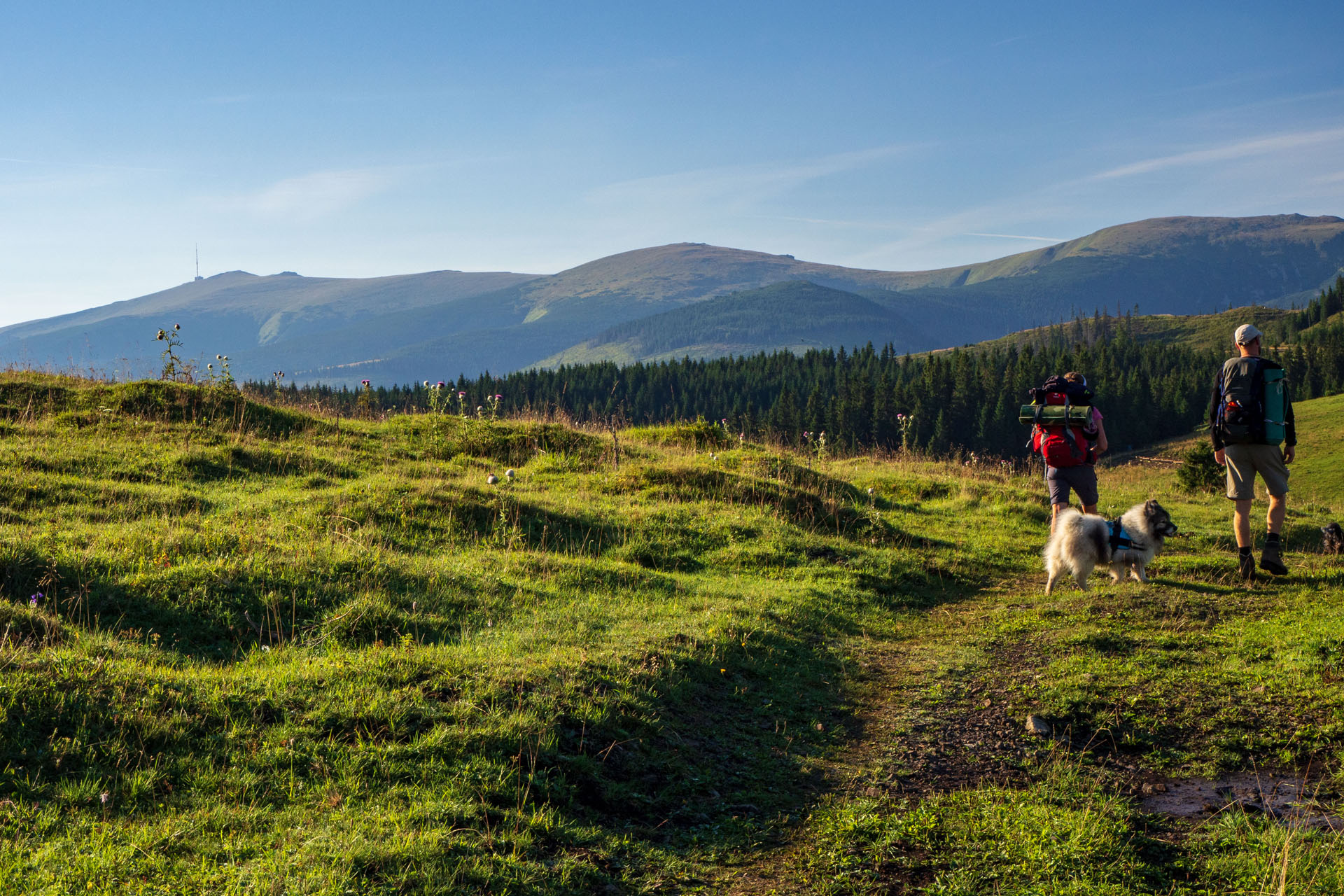 Čučoriedkový deň a Panská hoľa z Pred Soľankou (Nízke Tatry)