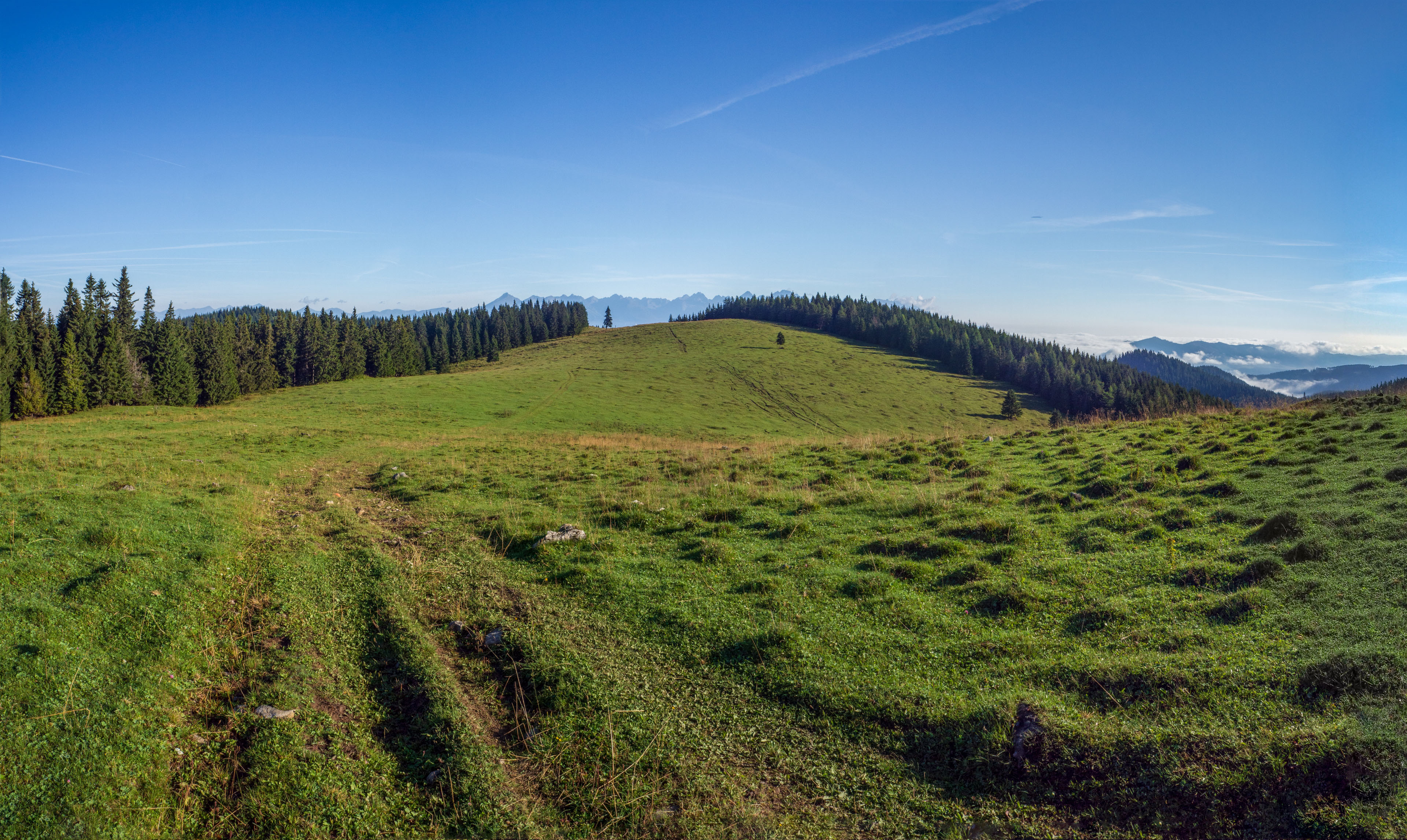 Čučoriedkový deň a Panská hoľa z Pred Soľankou (Nízke Tatry)