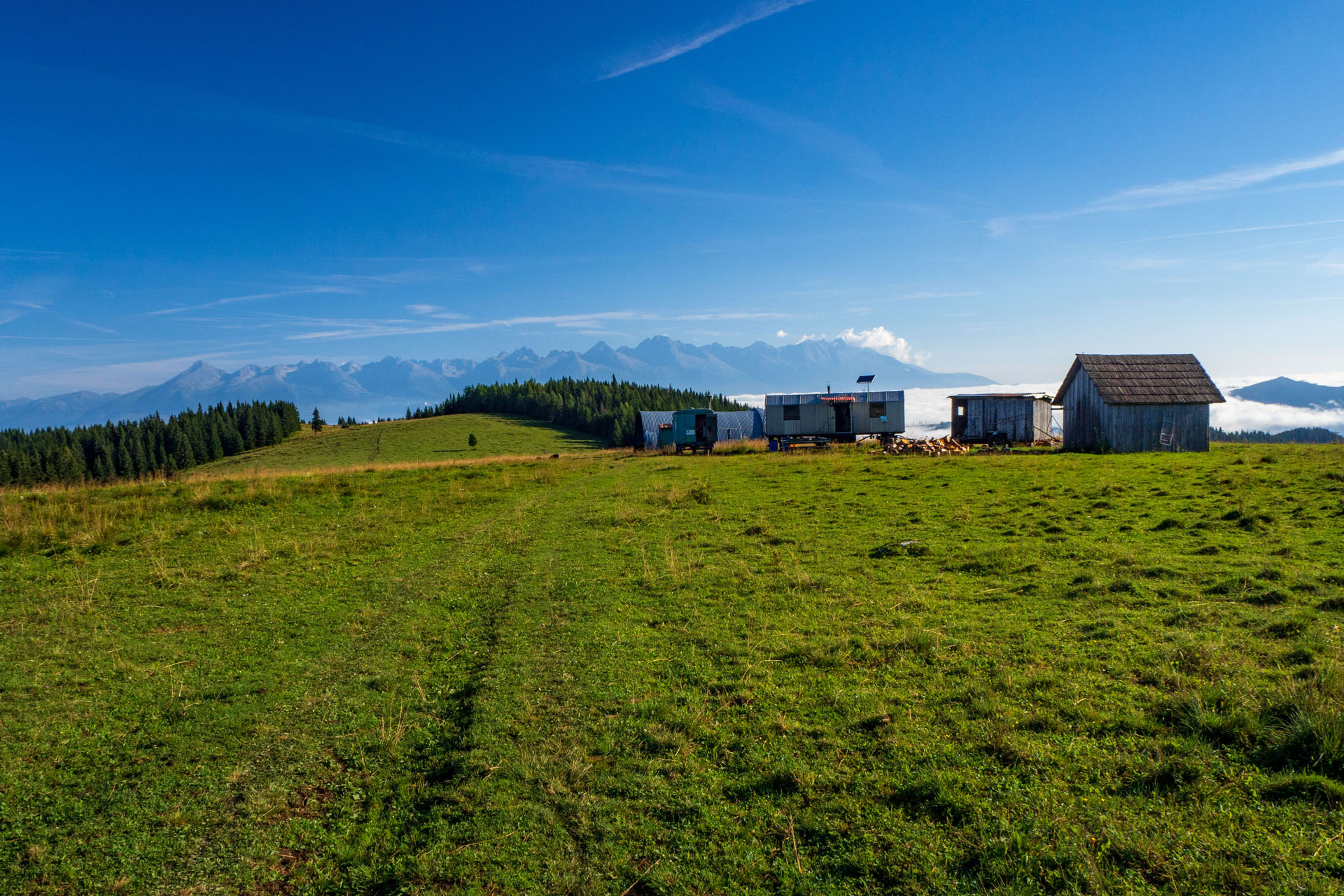 Čučoriedkový deň a Panská hoľa z Pred Soľankou (Nízke Tatry)