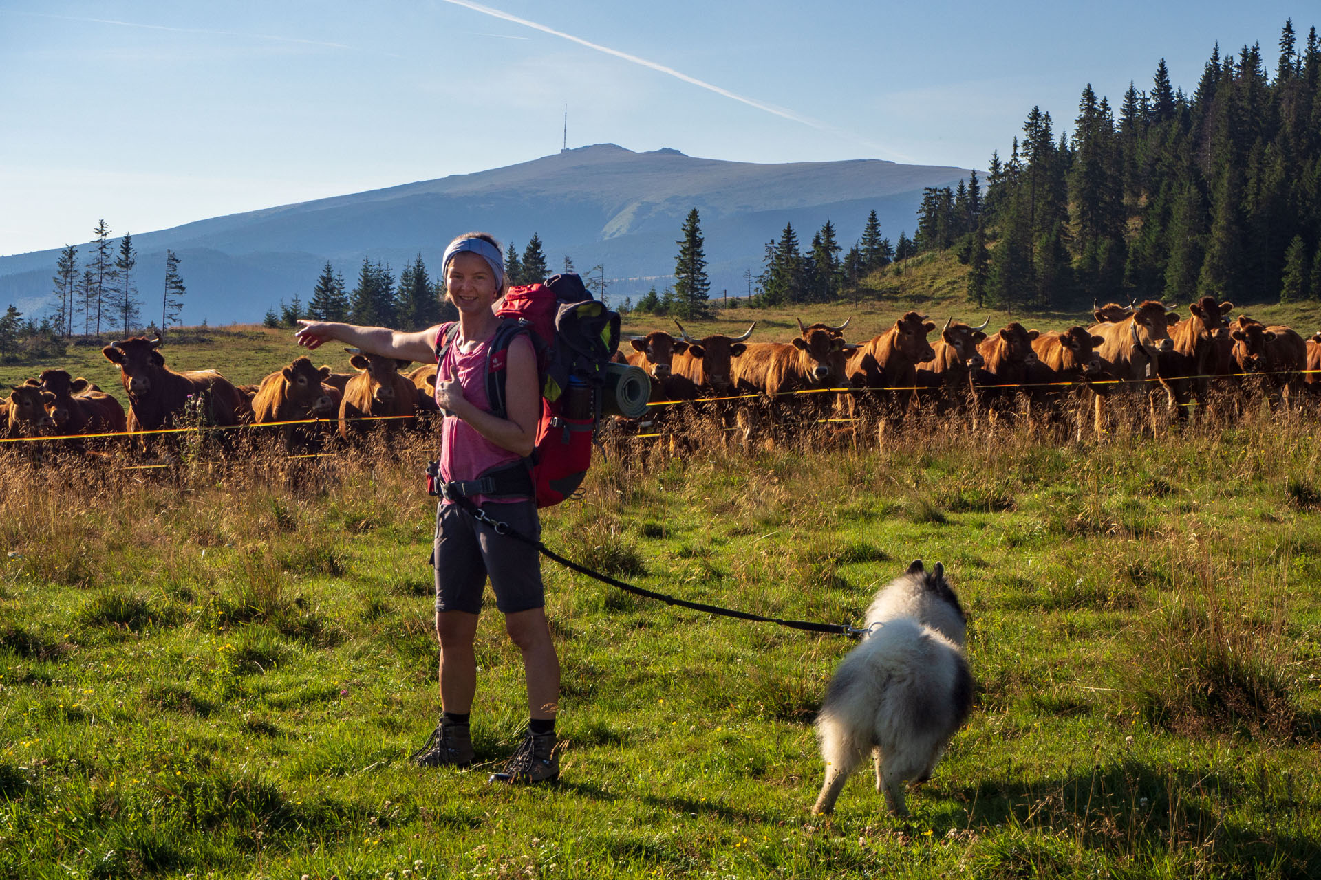 Čučoriedkový deň a Panská hoľa z Pred Soľankou (Nízke Tatry)