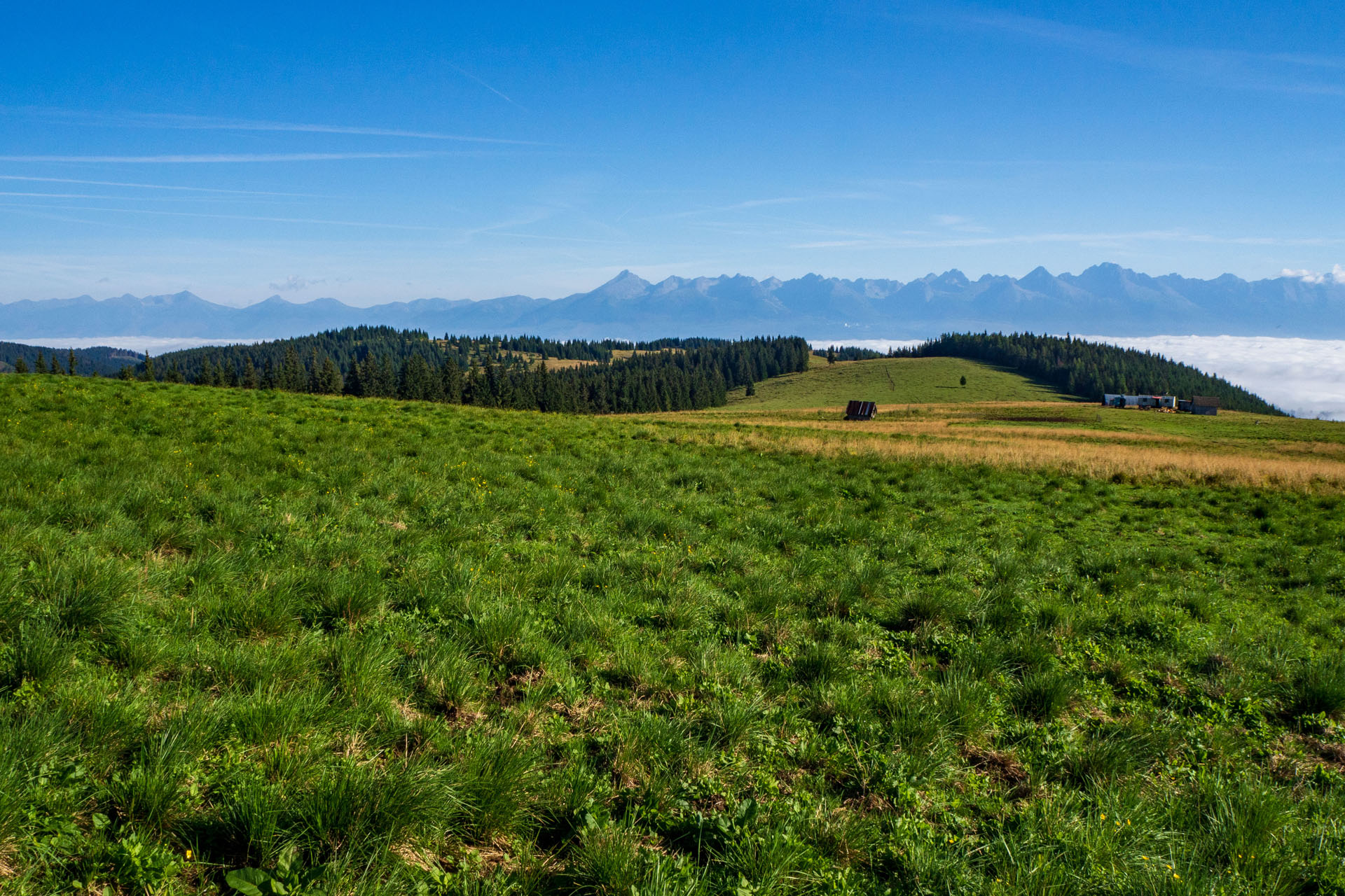 Čučoriedkový deň a Panská hoľa z Pred Soľankou (Nízke Tatry)