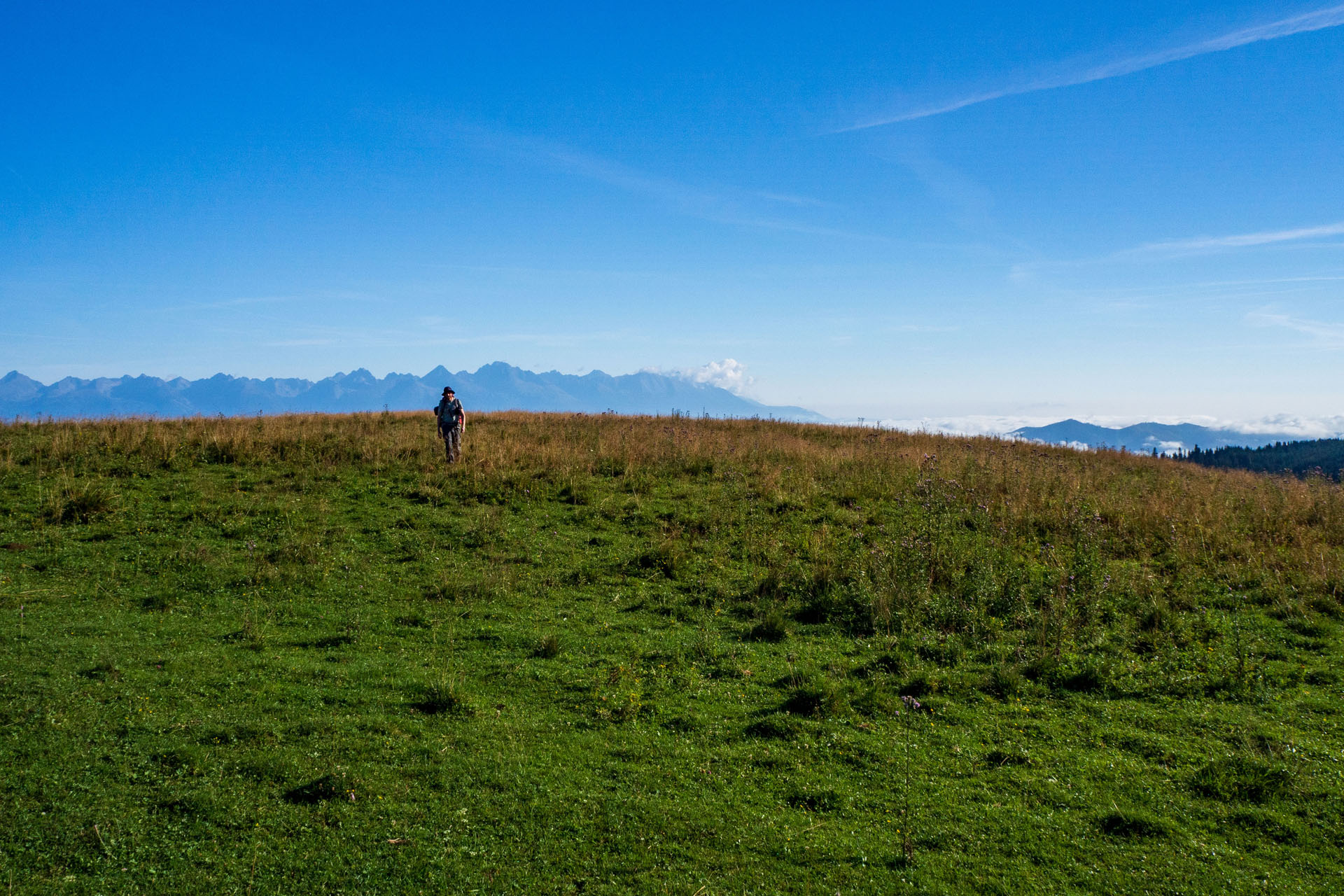 Čučoriedkový deň a Panská hoľa z Pred Soľankou (Nízke Tatry)