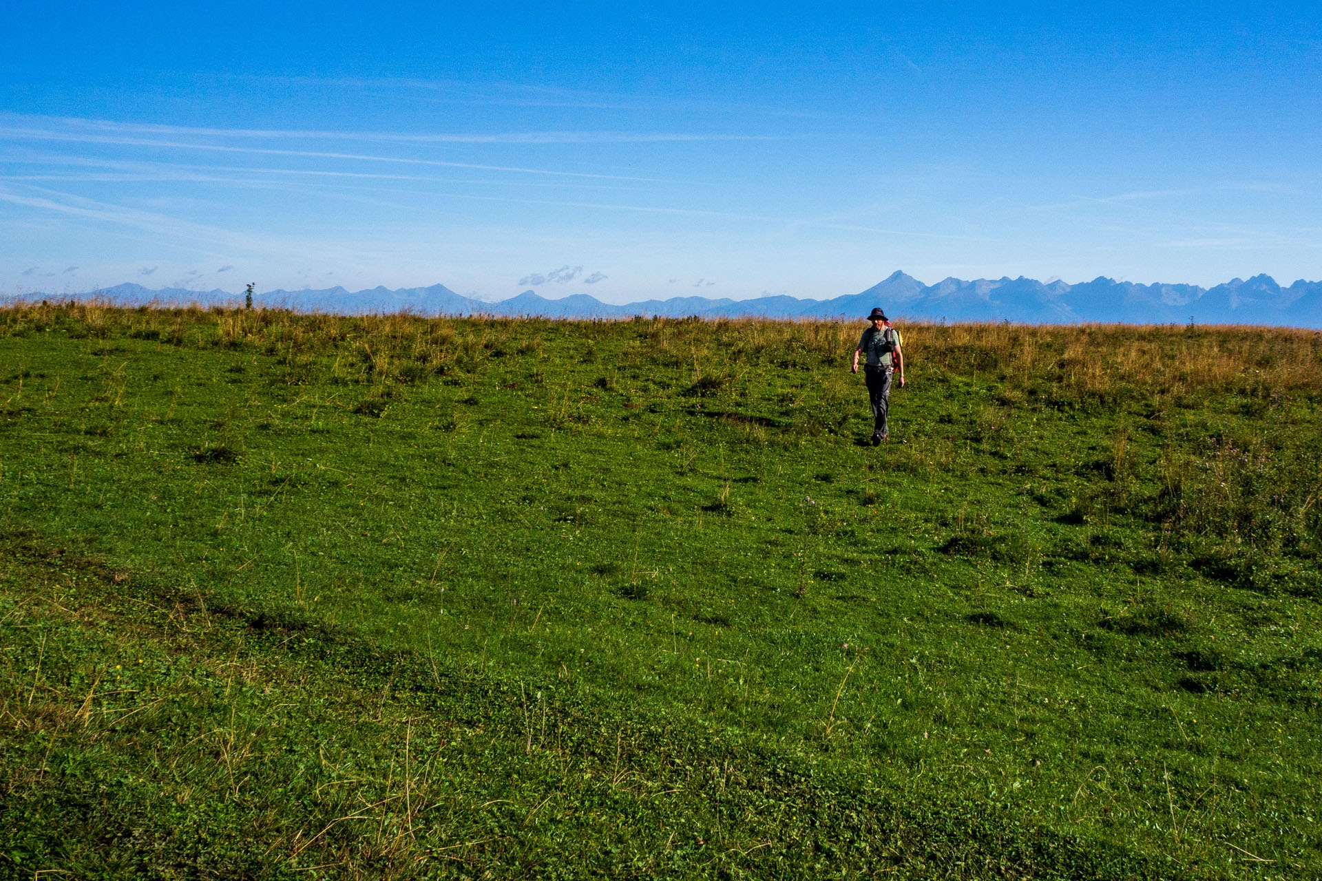 Čučoriedkový deň a Panská hoľa z Pred Soľankou (Nízke Tatry)