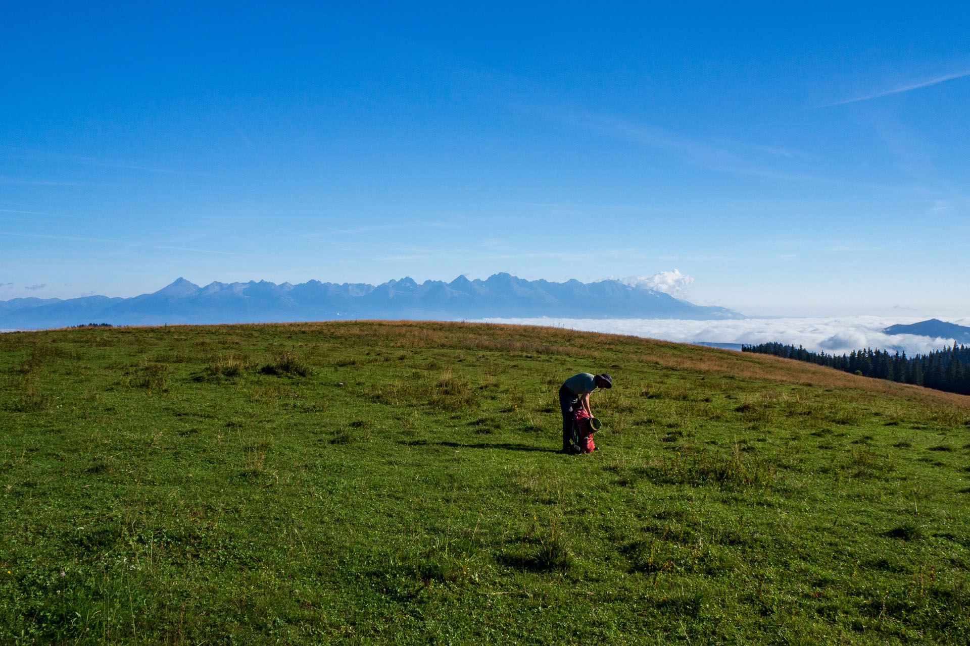 Čučoriedkový deň a Panská hoľa z Pred Soľankou (Nízke Tatry)