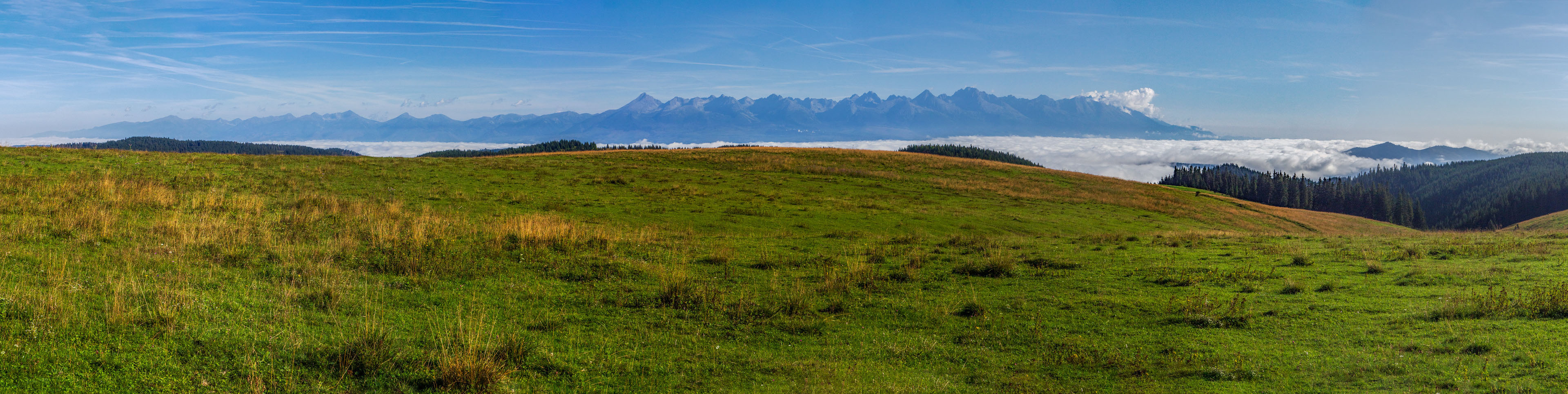 Čučoriedkový deň a Panská hoľa z Pred Soľankou (Nízke Tatry)