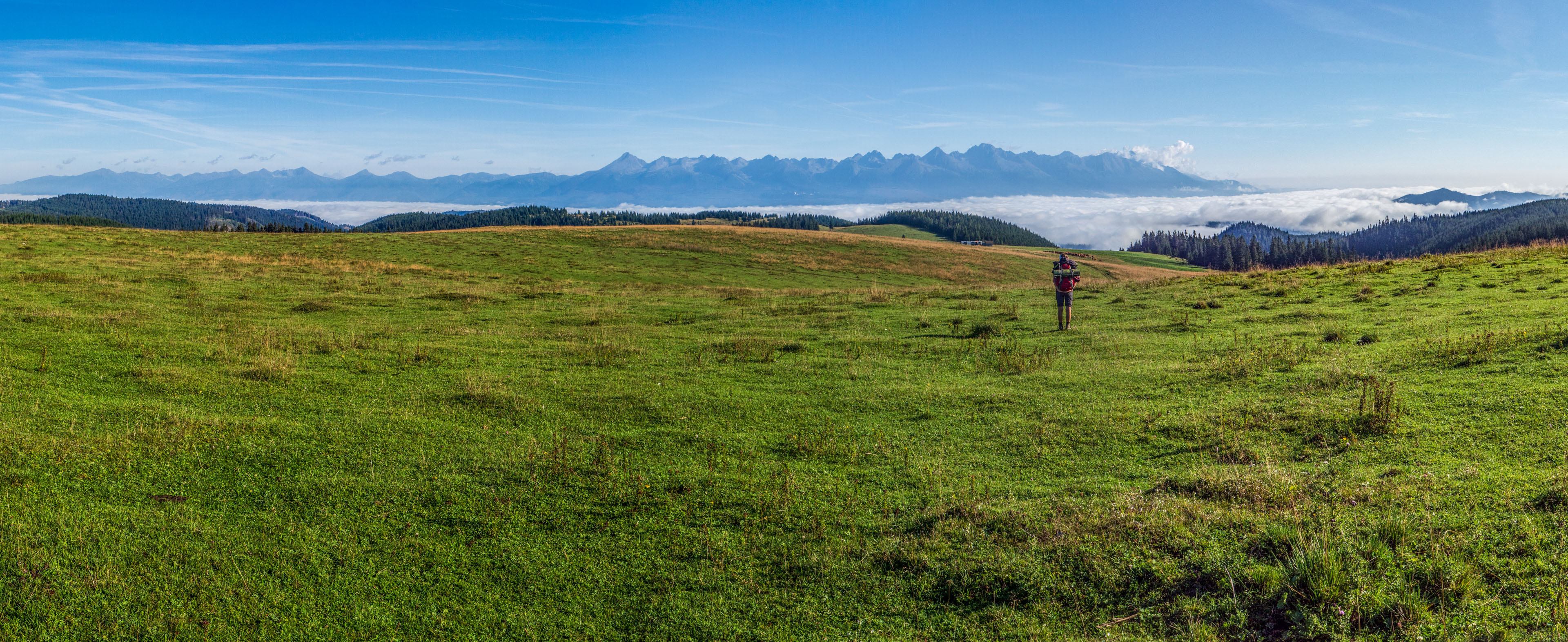 Čučoriedkový deň a Panská hoľa z Pred Soľankou (Nízke Tatry)