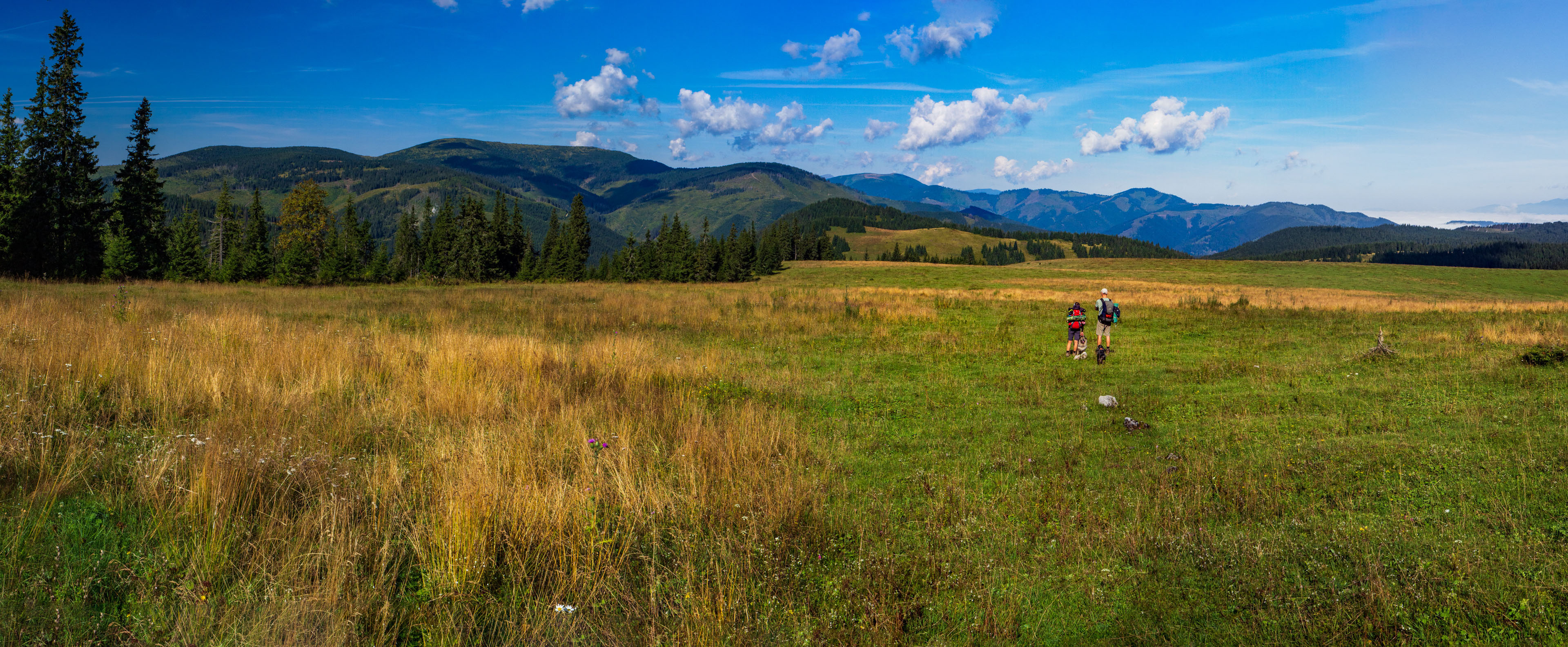 Čučoriedkový deň a Panská hoľa z Pred Soľankou (Nízke Tatry)