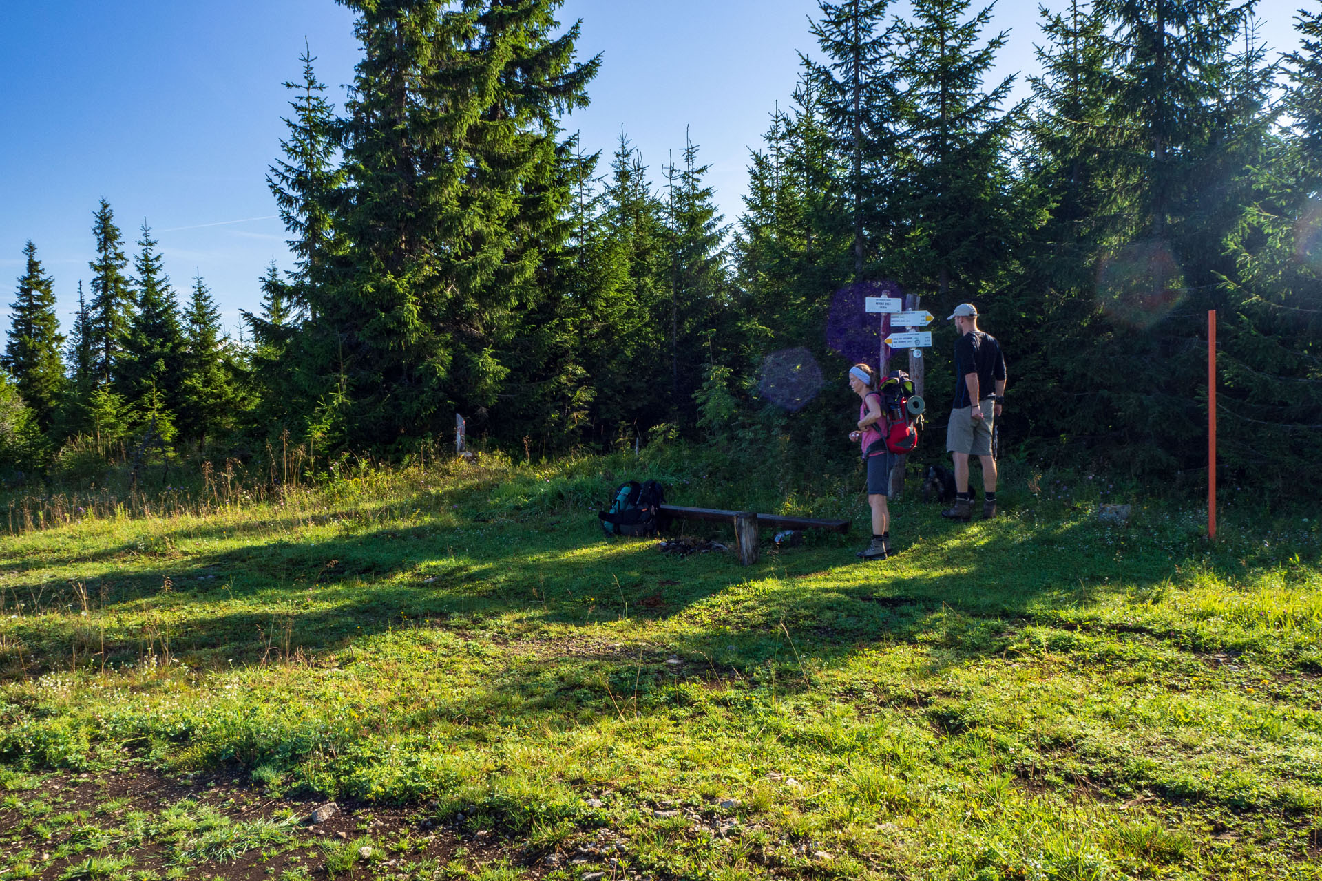 Čučoriedkový deň a Panská hoľa z Pred Soľankou (Nízke Tatry)