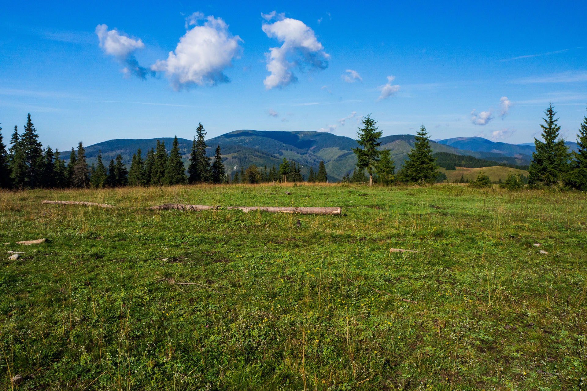 Čučoriedkový deň a Panská hoľa z Pred Soľankou (Nízke Tatry)