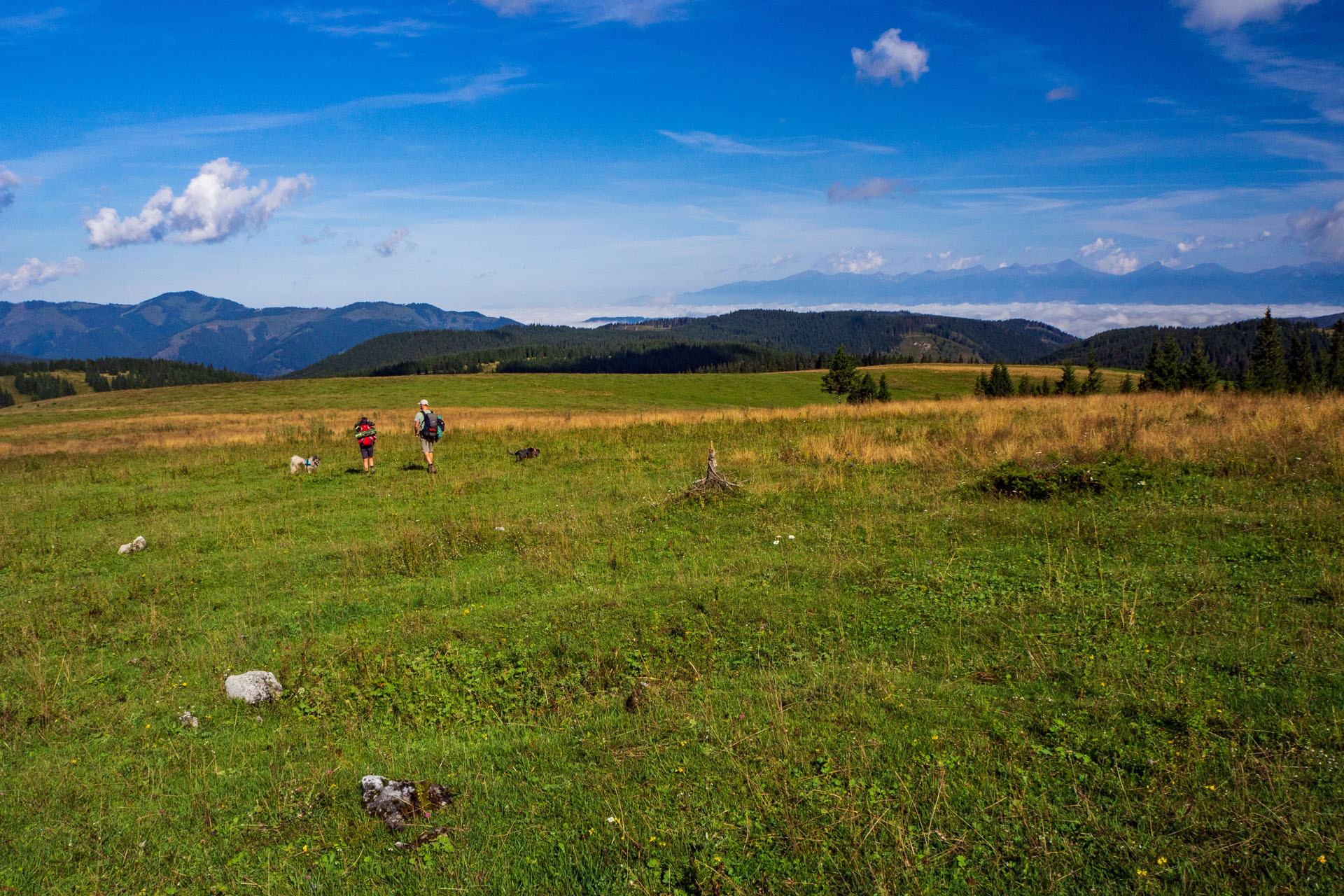 Čučoriedkový deň a Panská hoľa z Pred Soľankou (Nízke Tatry)